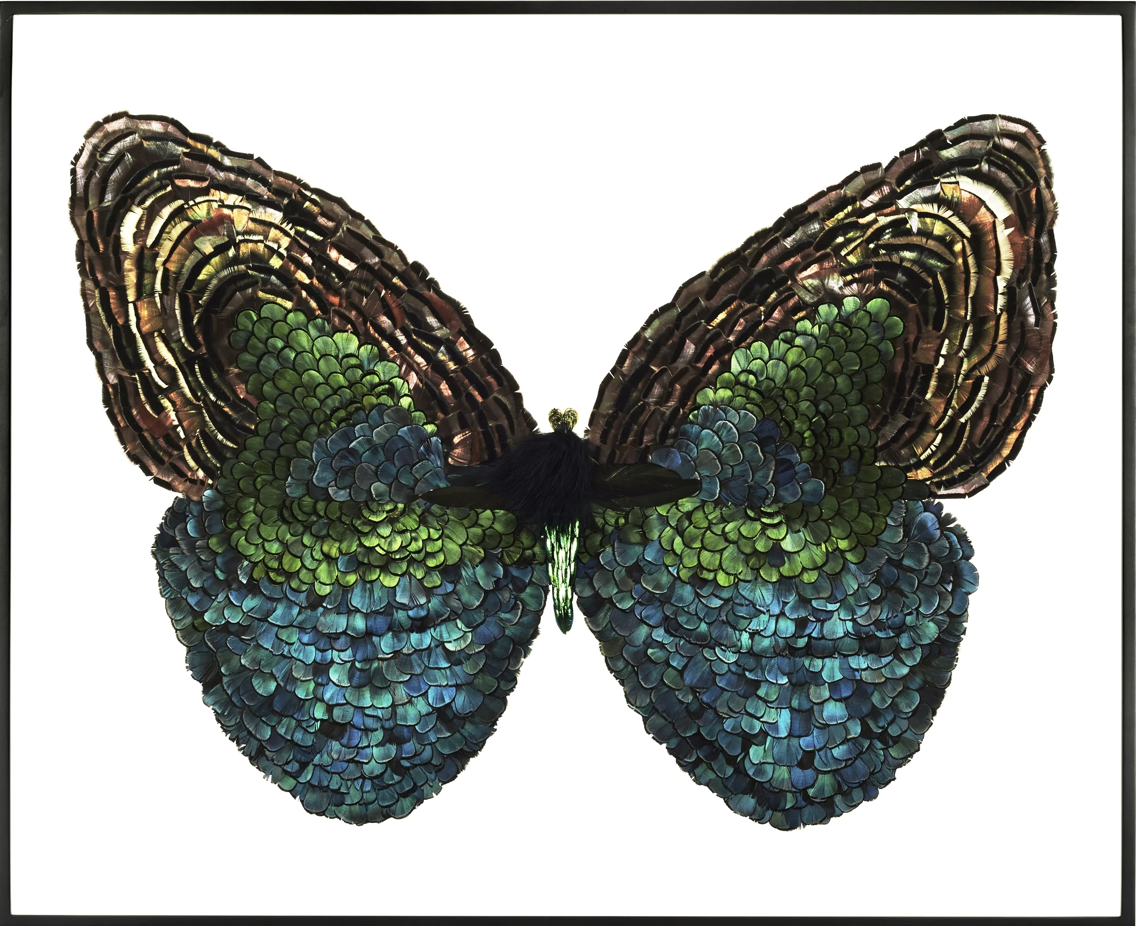Metamorphosis X (Copy)