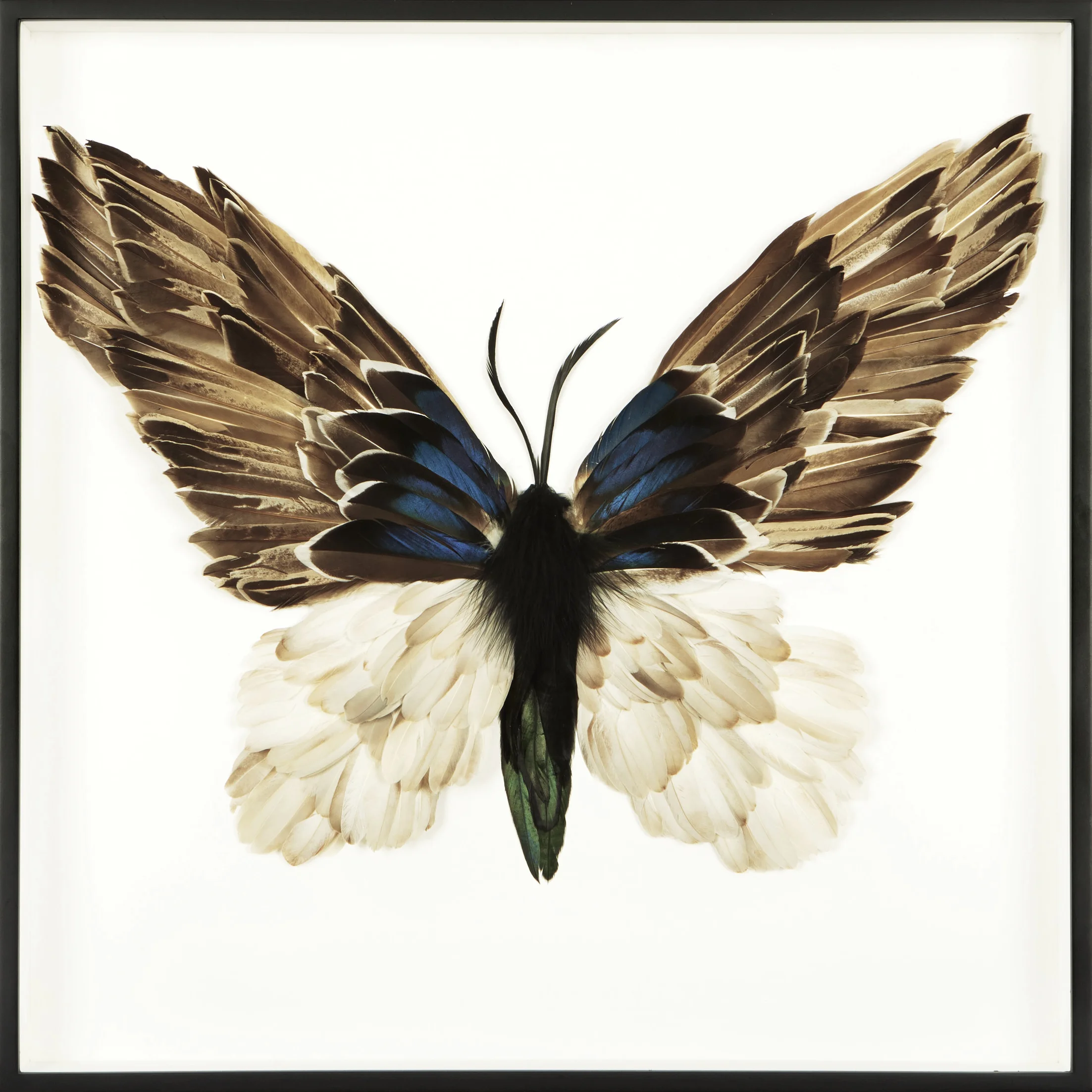 Metamorphosis IV (Copy)