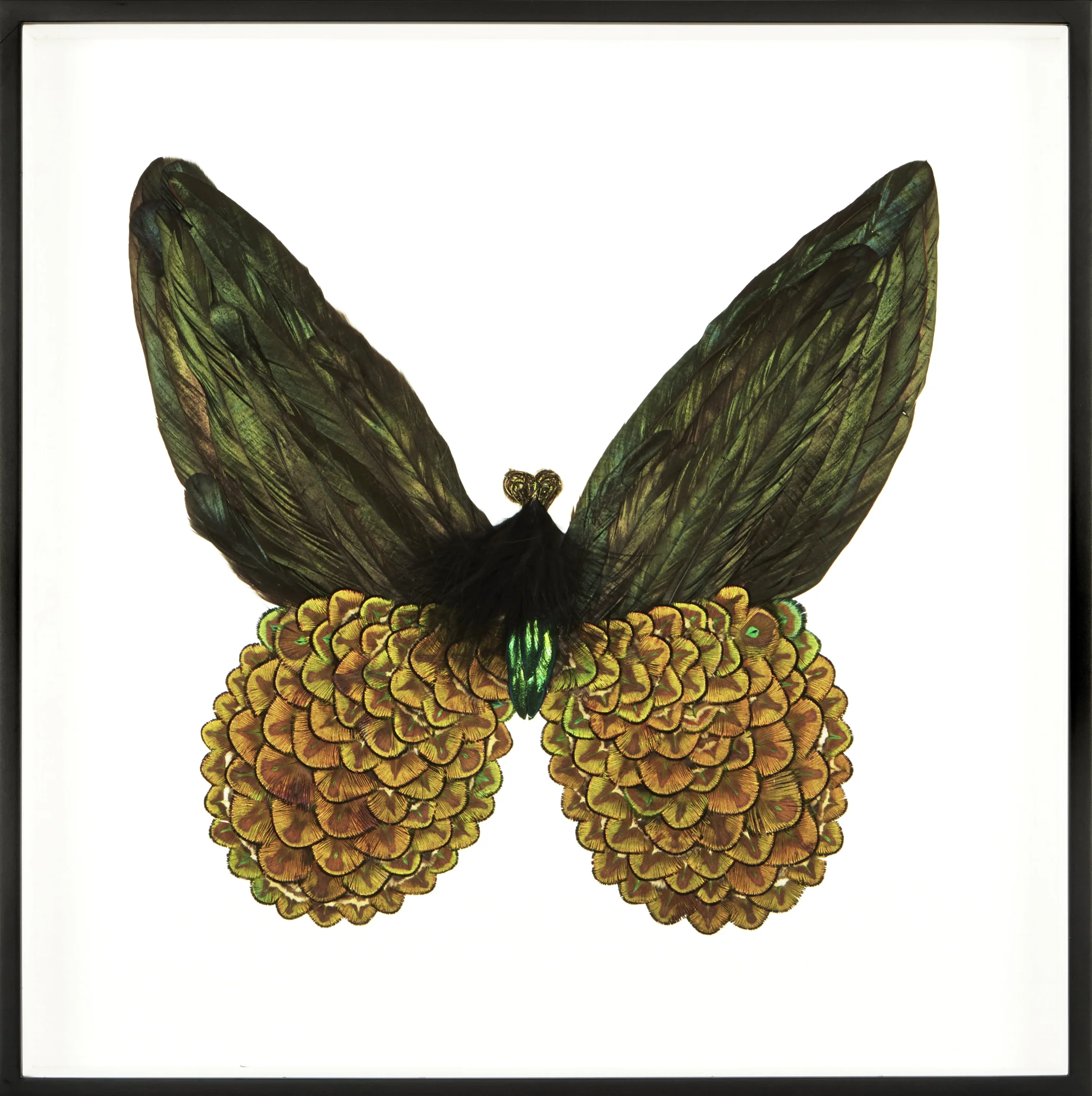 Metamorphosis I (Copy)