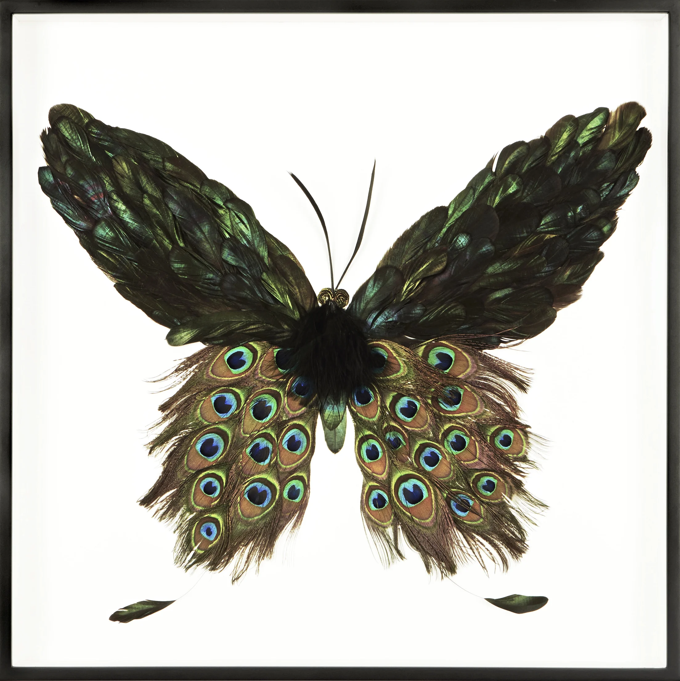 Metamorphosis III (Copy)