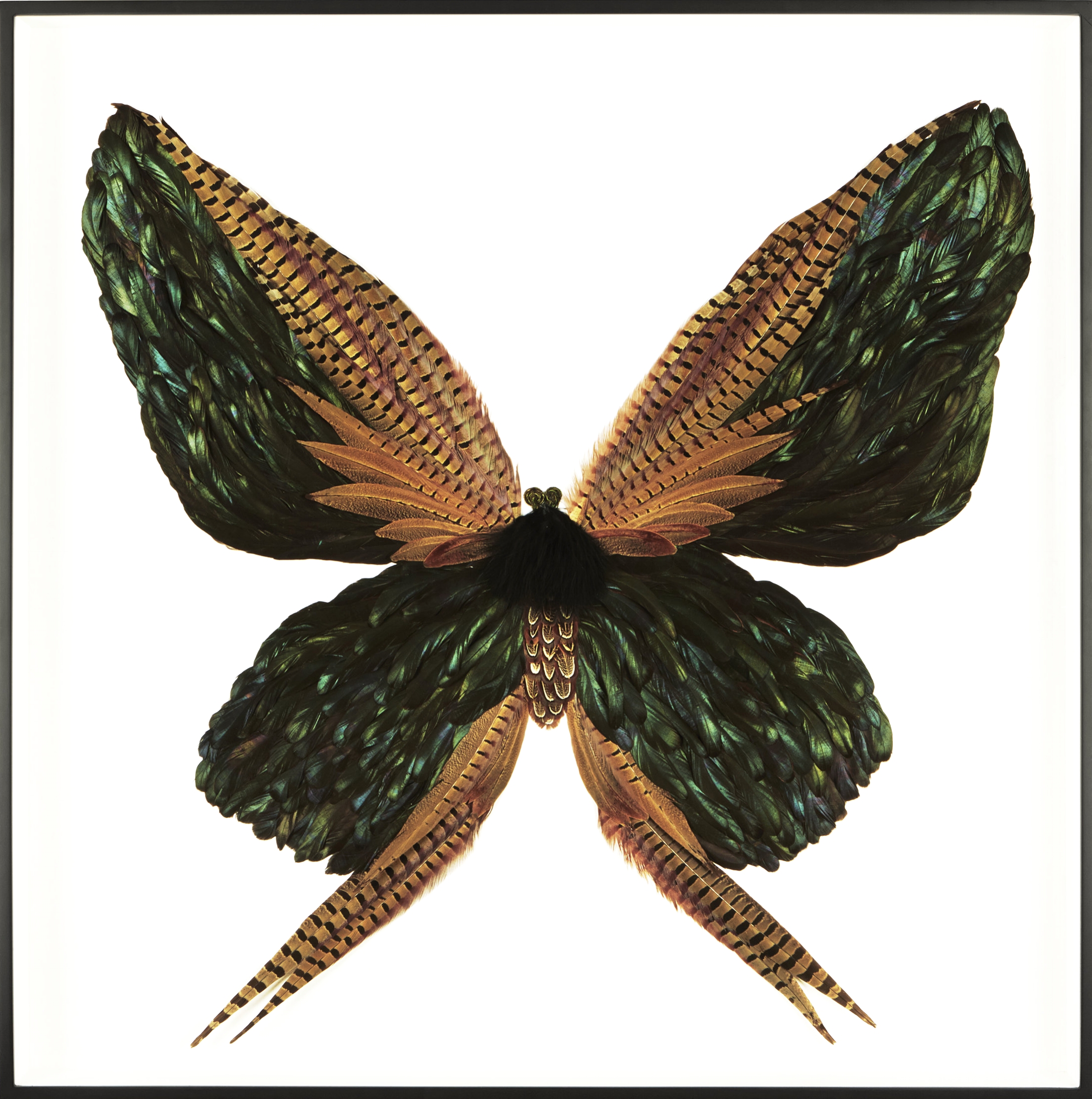 Metamorphosis VIII (Copy)