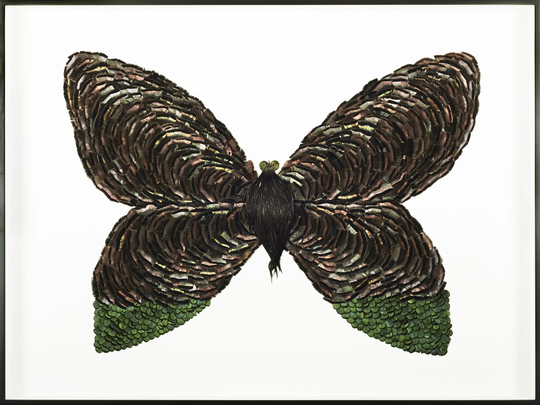 Metamorphosis X (Copy)