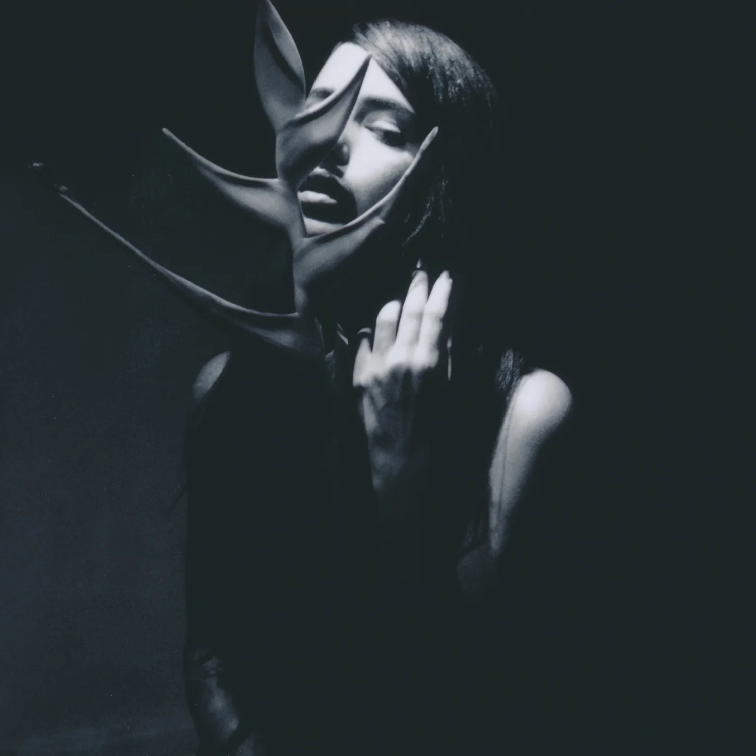 4 - Carmen Danae - Gaia - Low Res.jpg