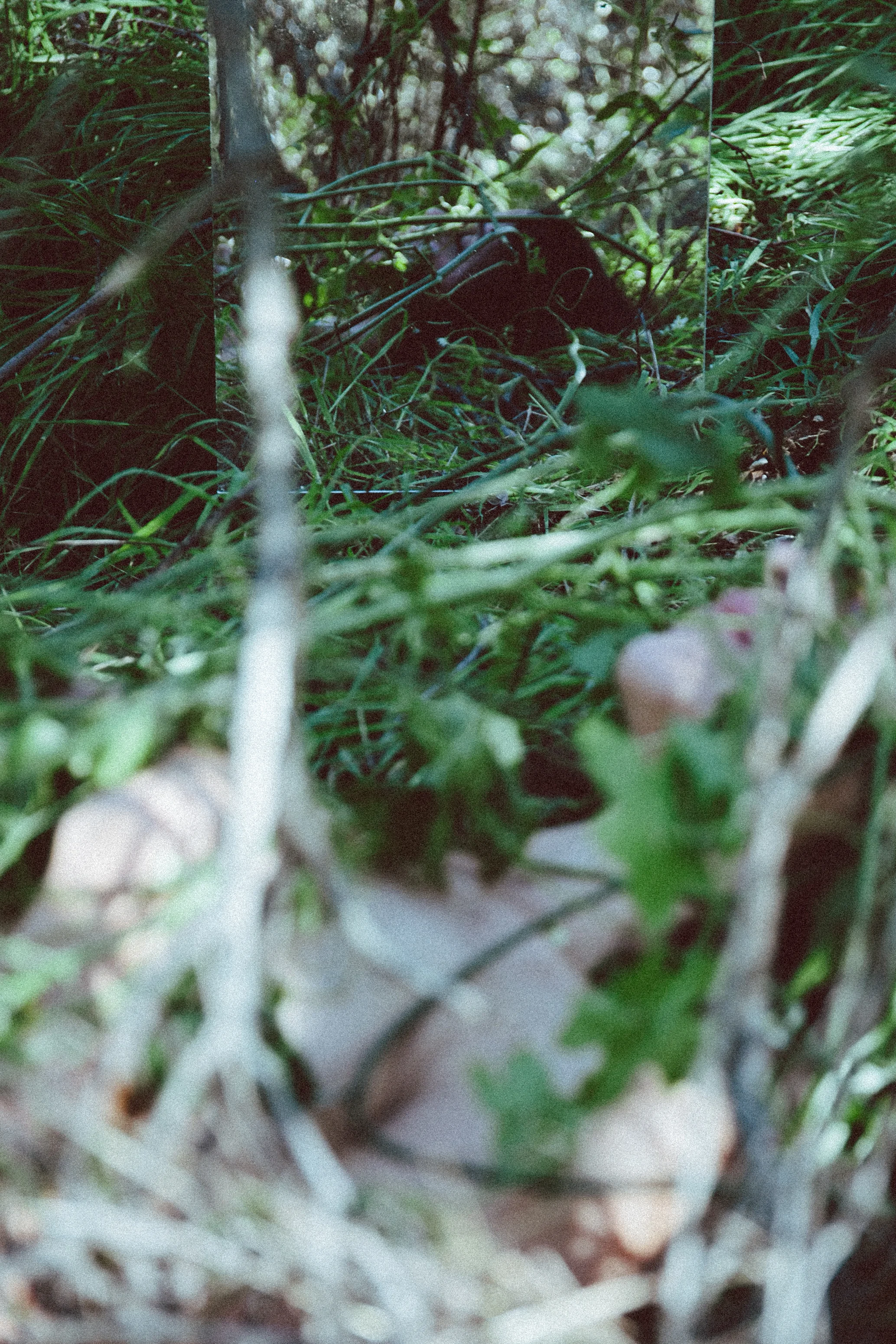 moody-p-17.jpg