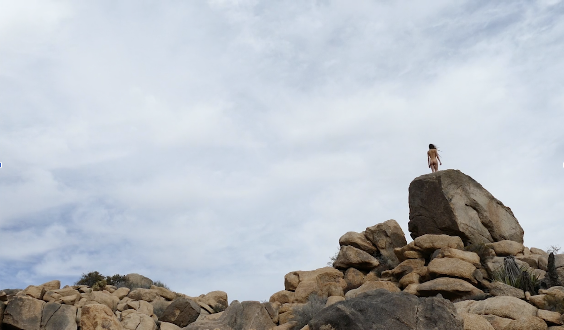 Carmen Danae Standing Rock 2.png