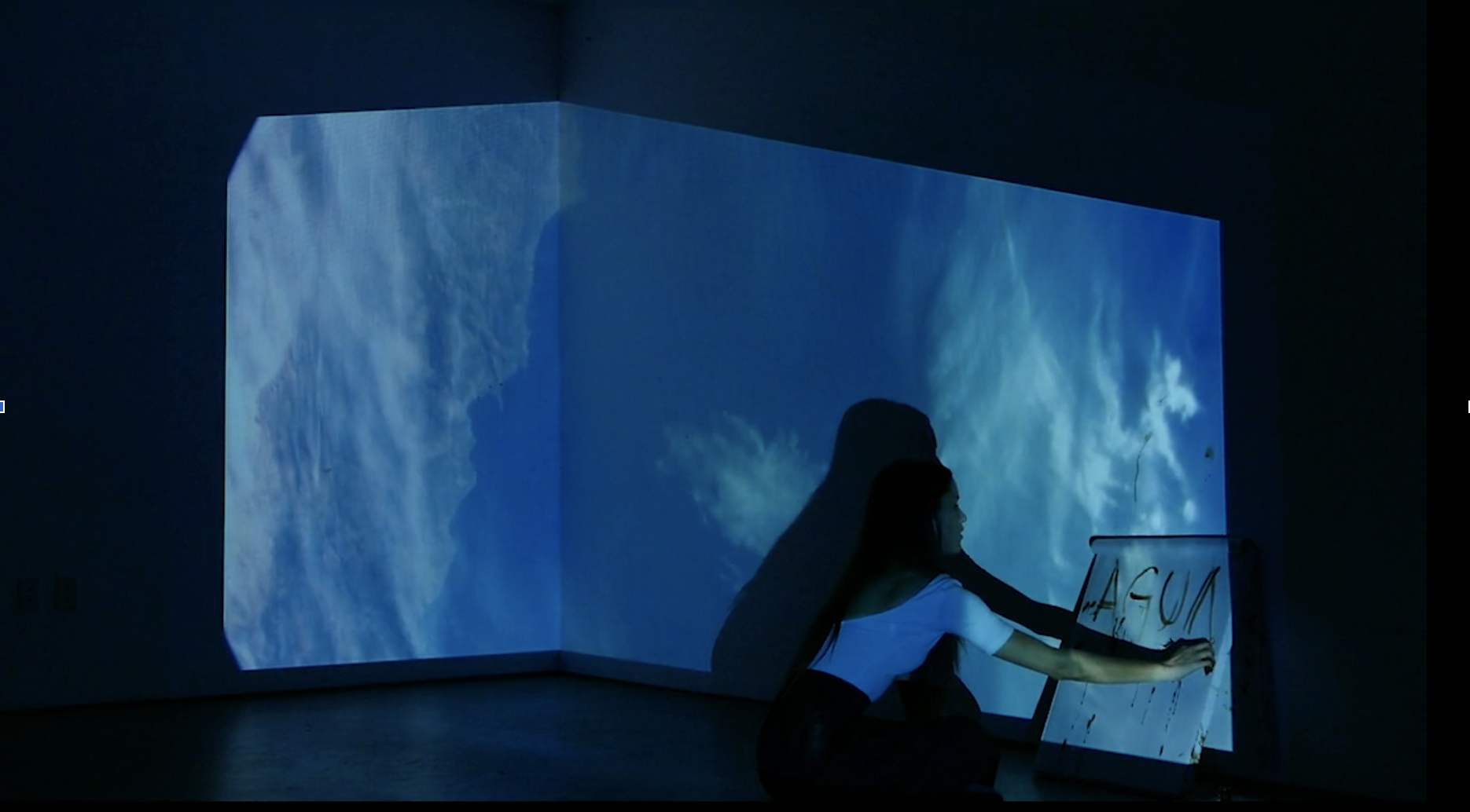 Untitled Video Installation, 2017 