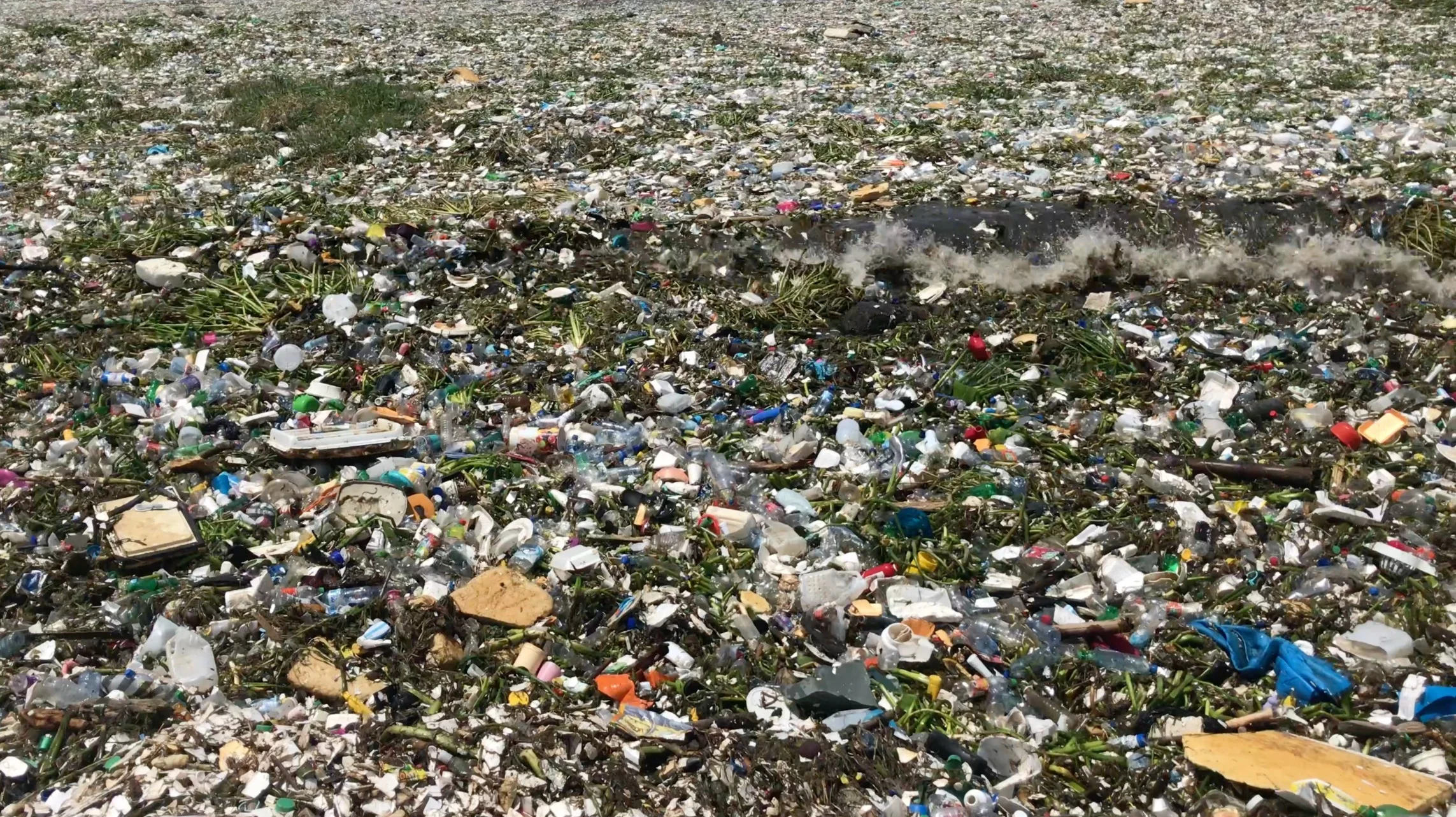 Capitalocene, Still, 2018, Carmen Danae Chamorro.png