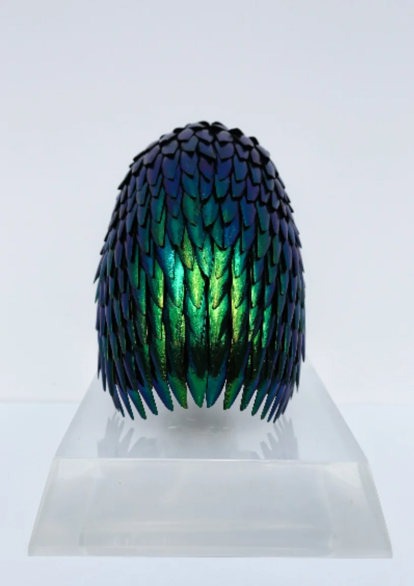 Chambered Nautilus (Copy)