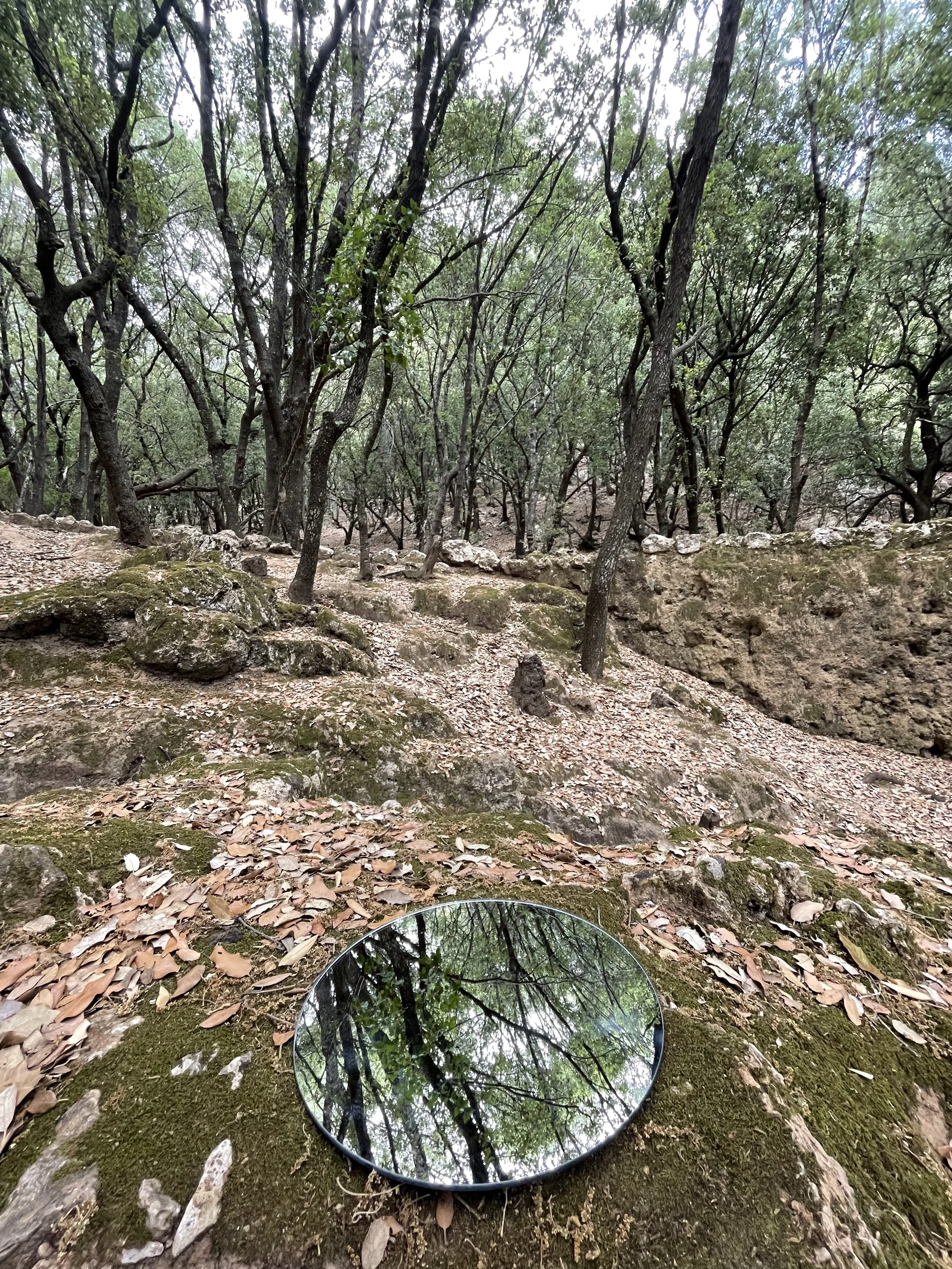 Mirror Series (2021 - Ongoing) (Copy)