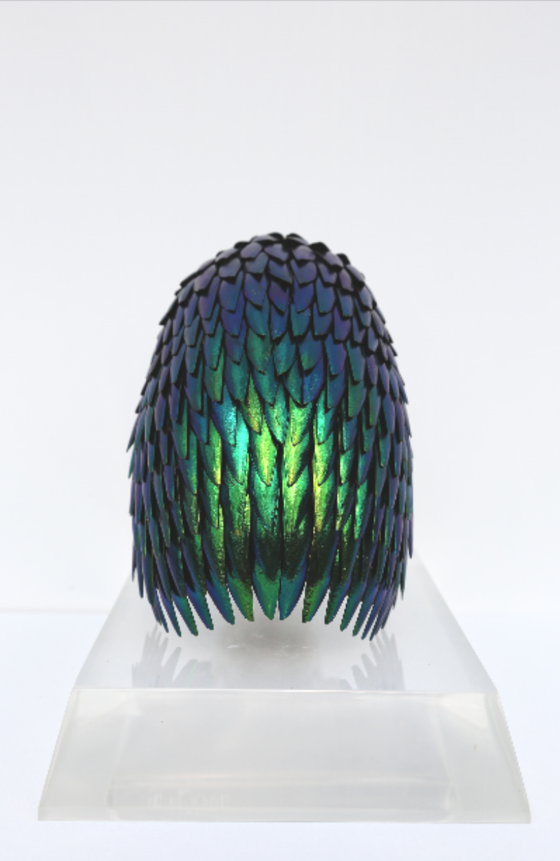 Chambered Nautilus, 2017 
Nautilus Shell, Elytra Beetle Wings, Glass
7” x 16” x 6”
