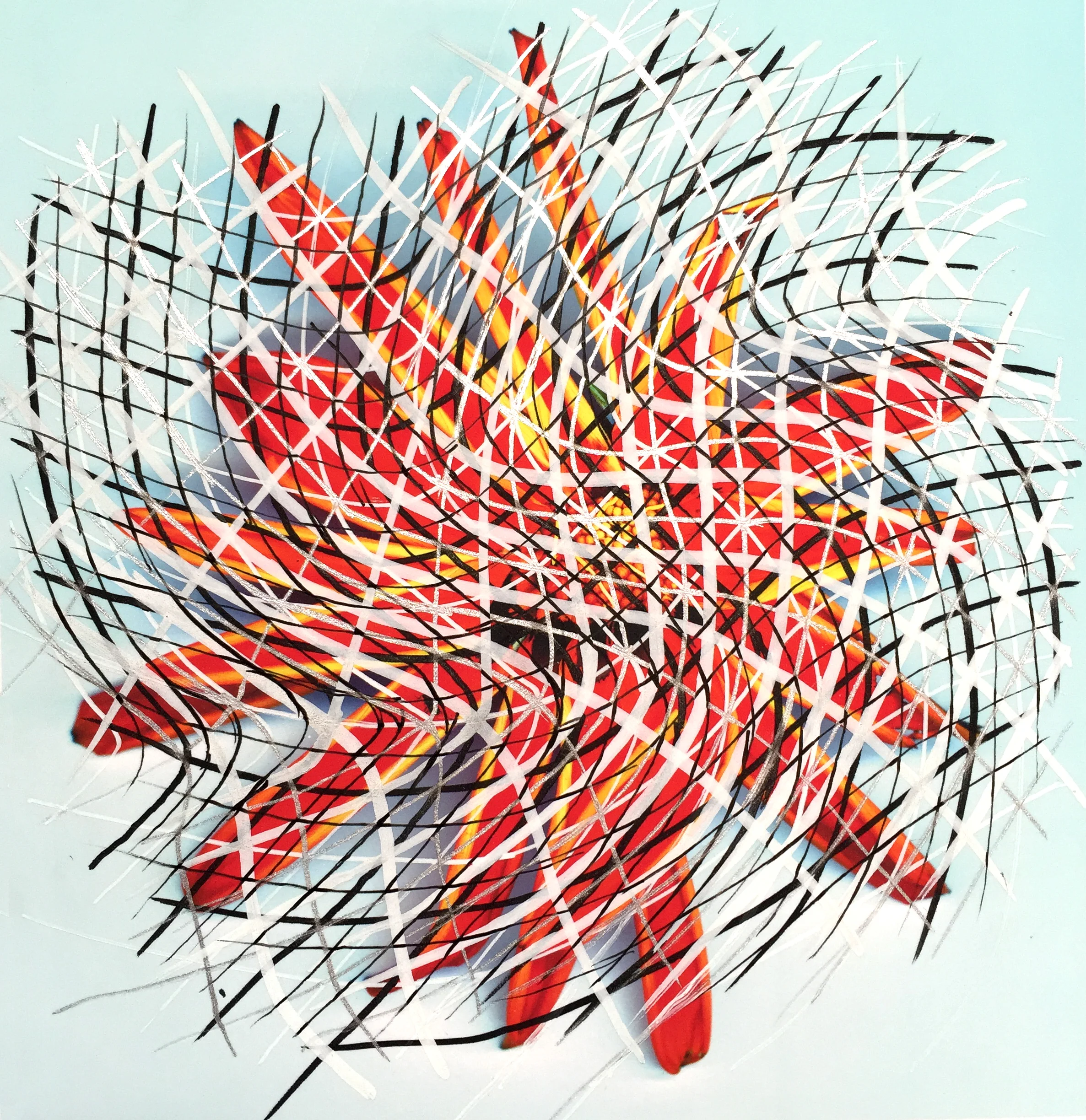  Untitled, acrylic pen drawing on digital photo print,       8.5 x 11 in. 