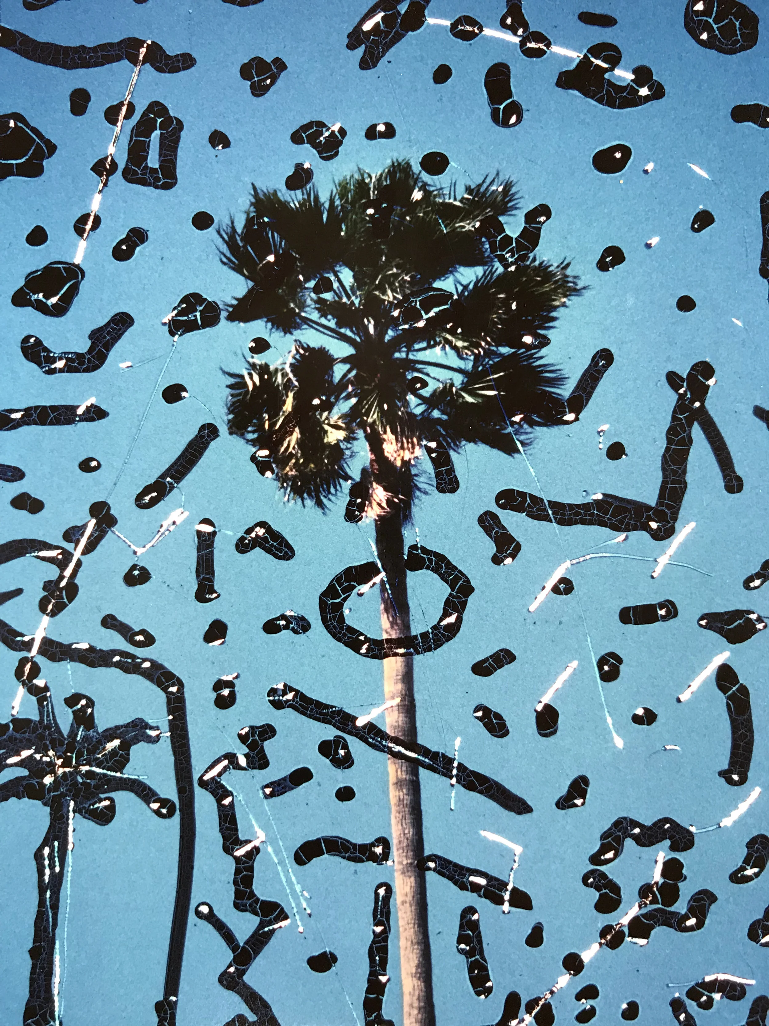  Untitled, drawing and scratching on a 110 slide, 1984 