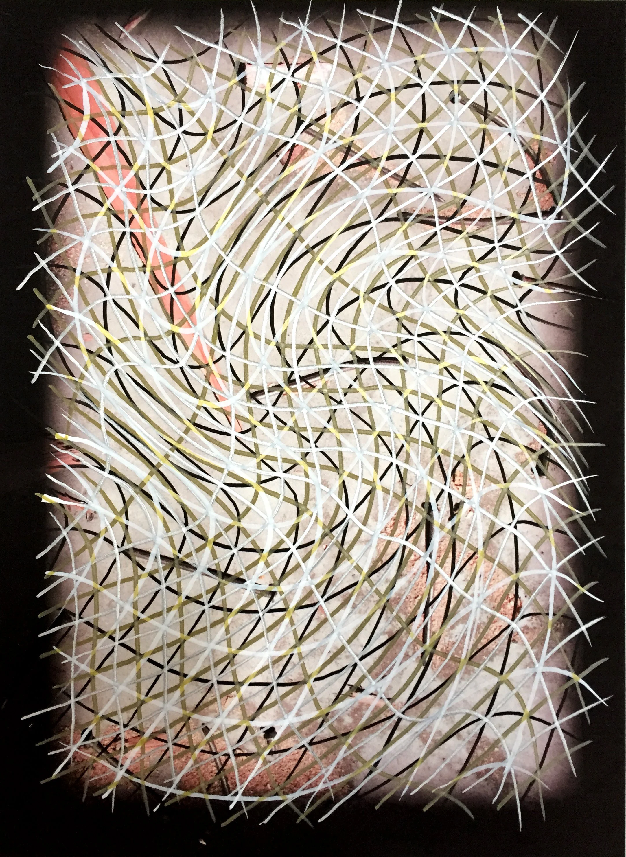  Ten Nail Grid, acrylic pen on digital photo print, 8.5 × 11 in. 