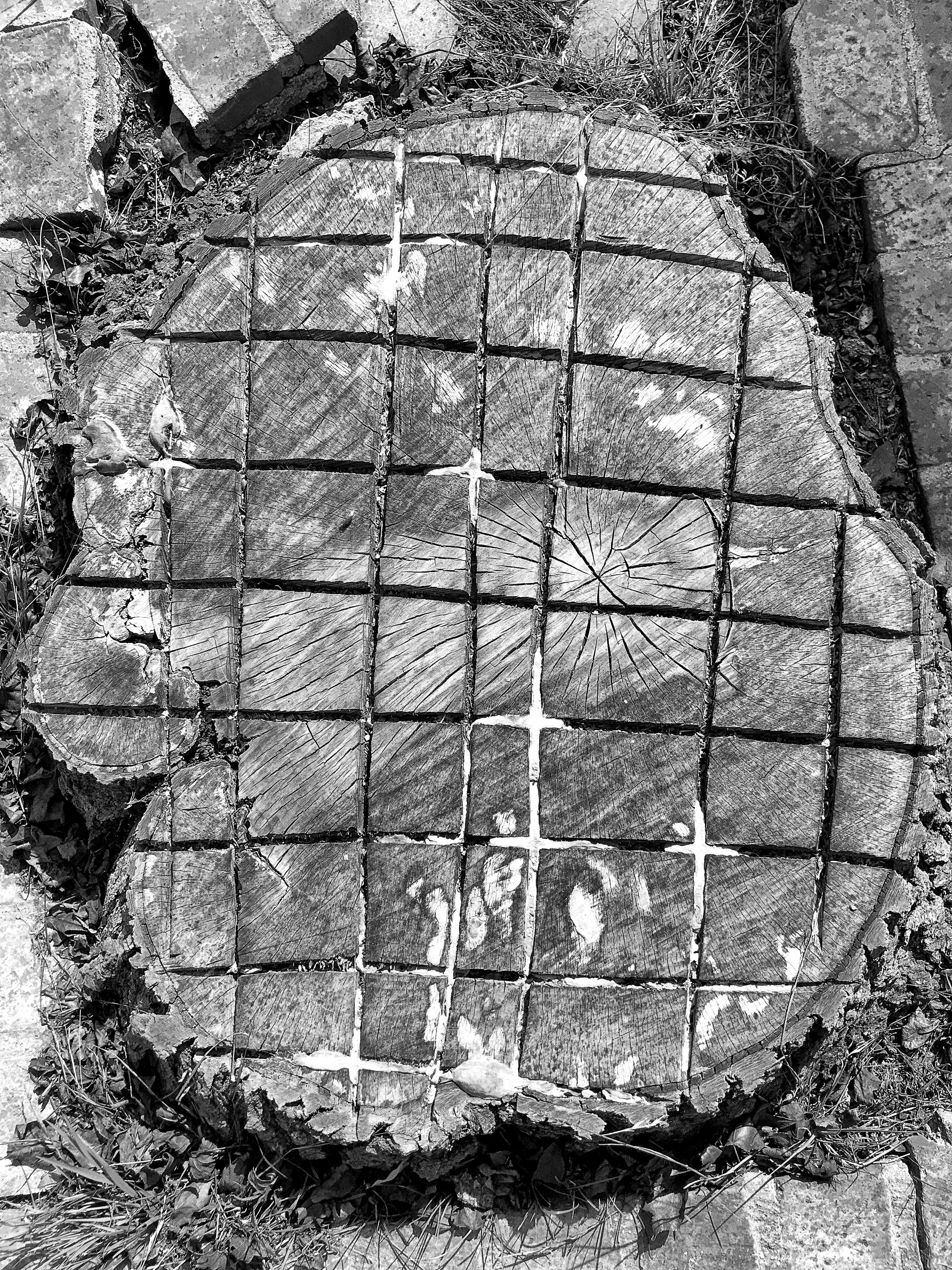  Tree Trunk Grid 