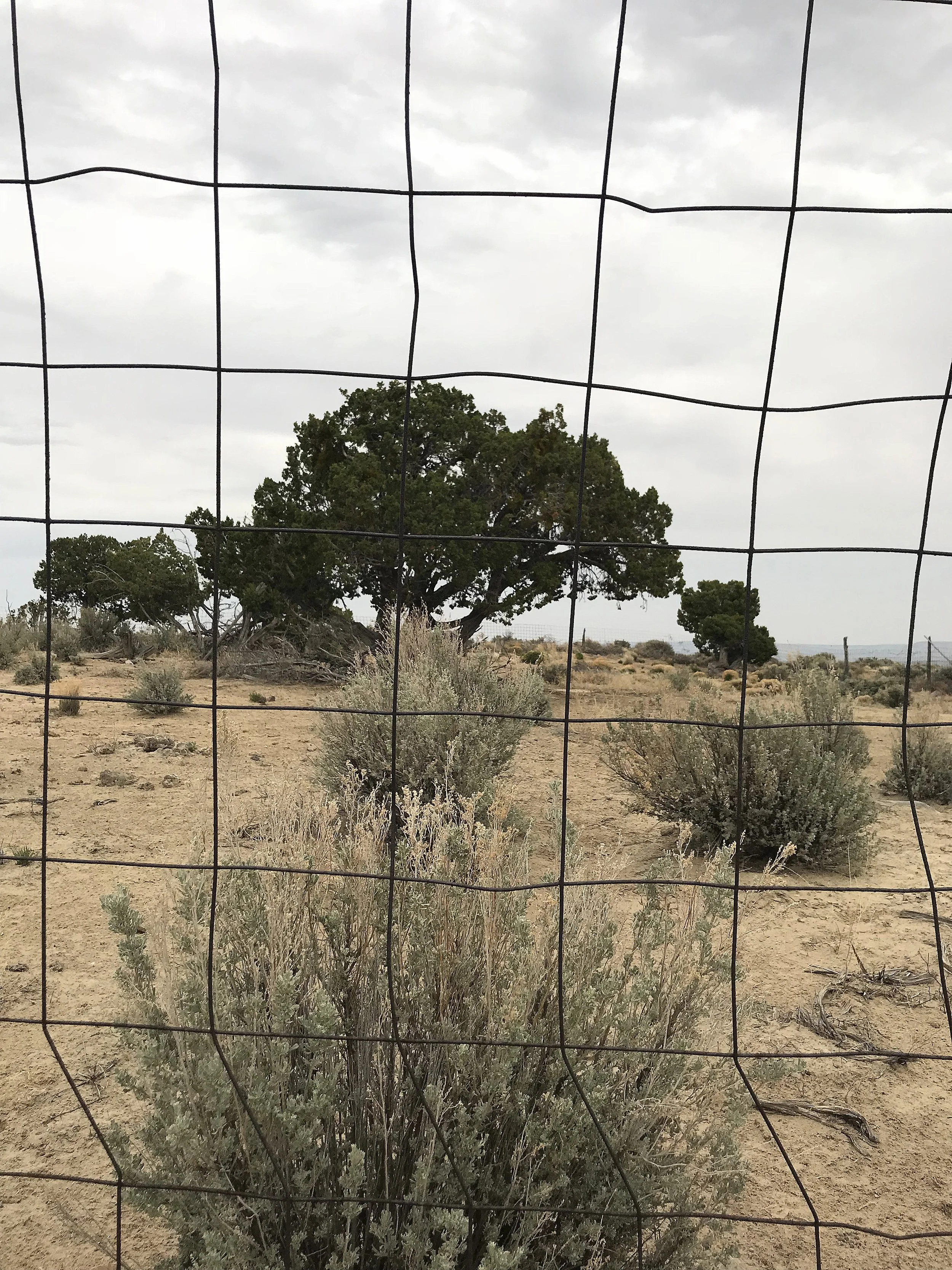 Grid Fence 