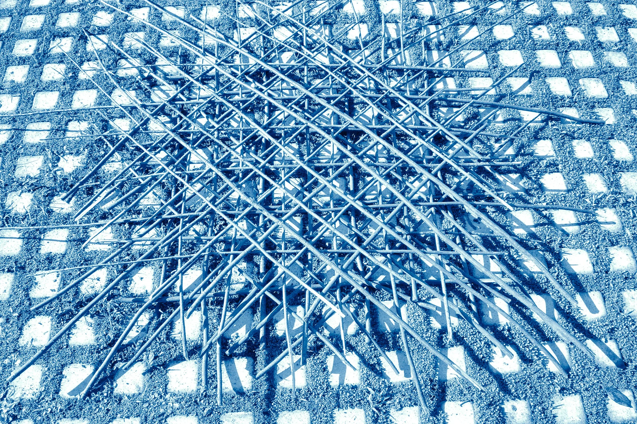  Grid with Sticks, created grid with found sticks 