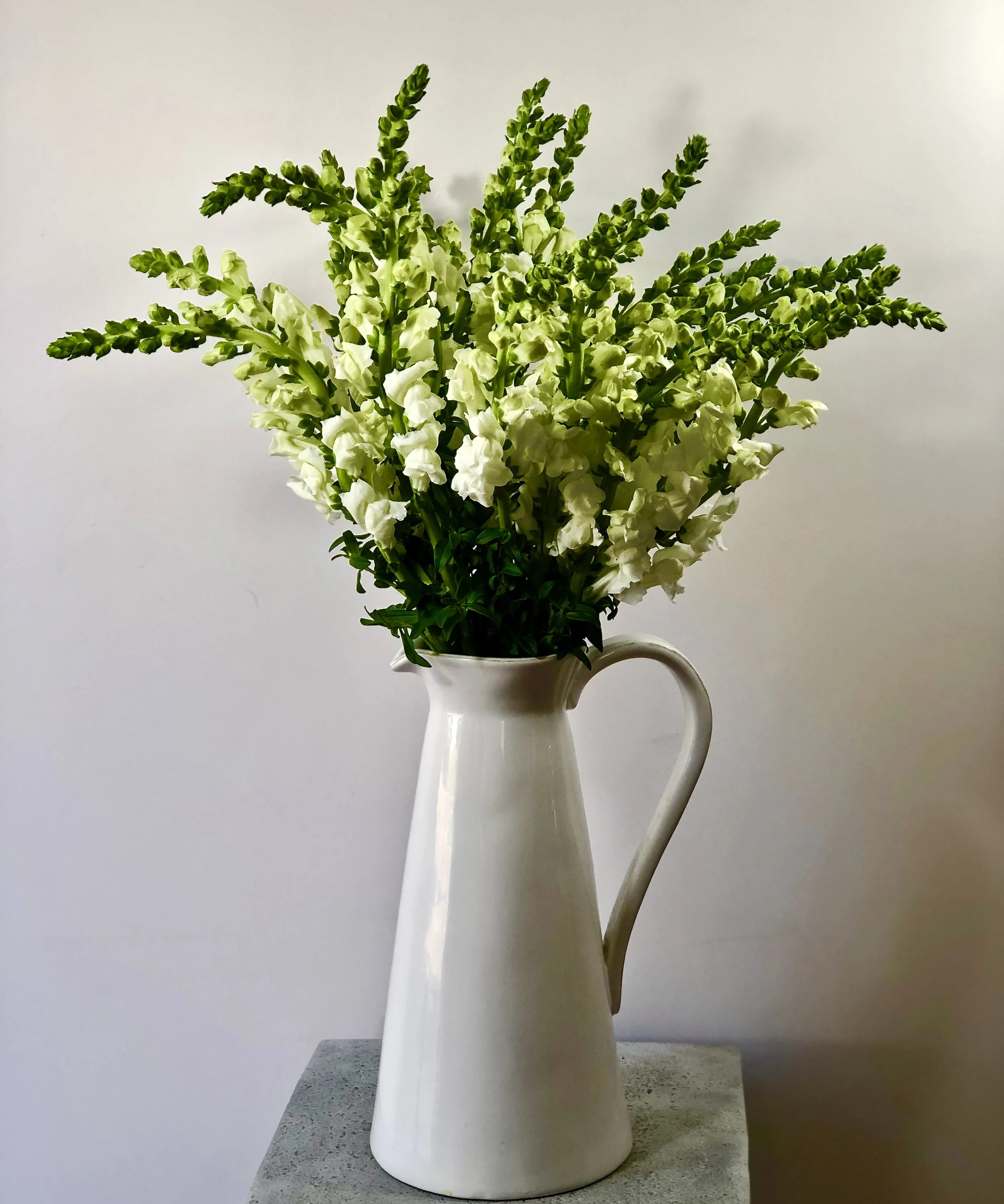 So Sweet - Snapdragon Bouquet