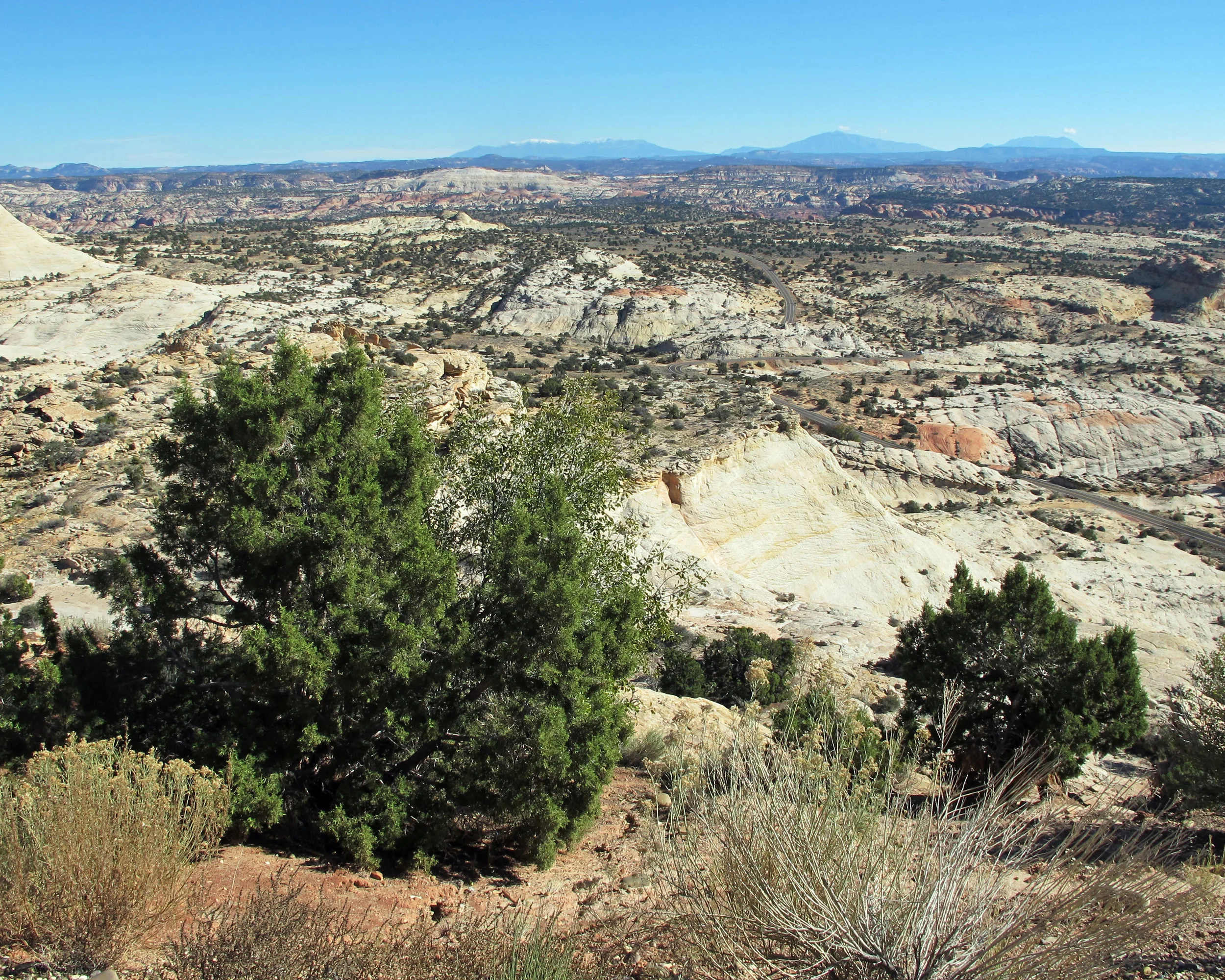 Devils Backbone.jpg