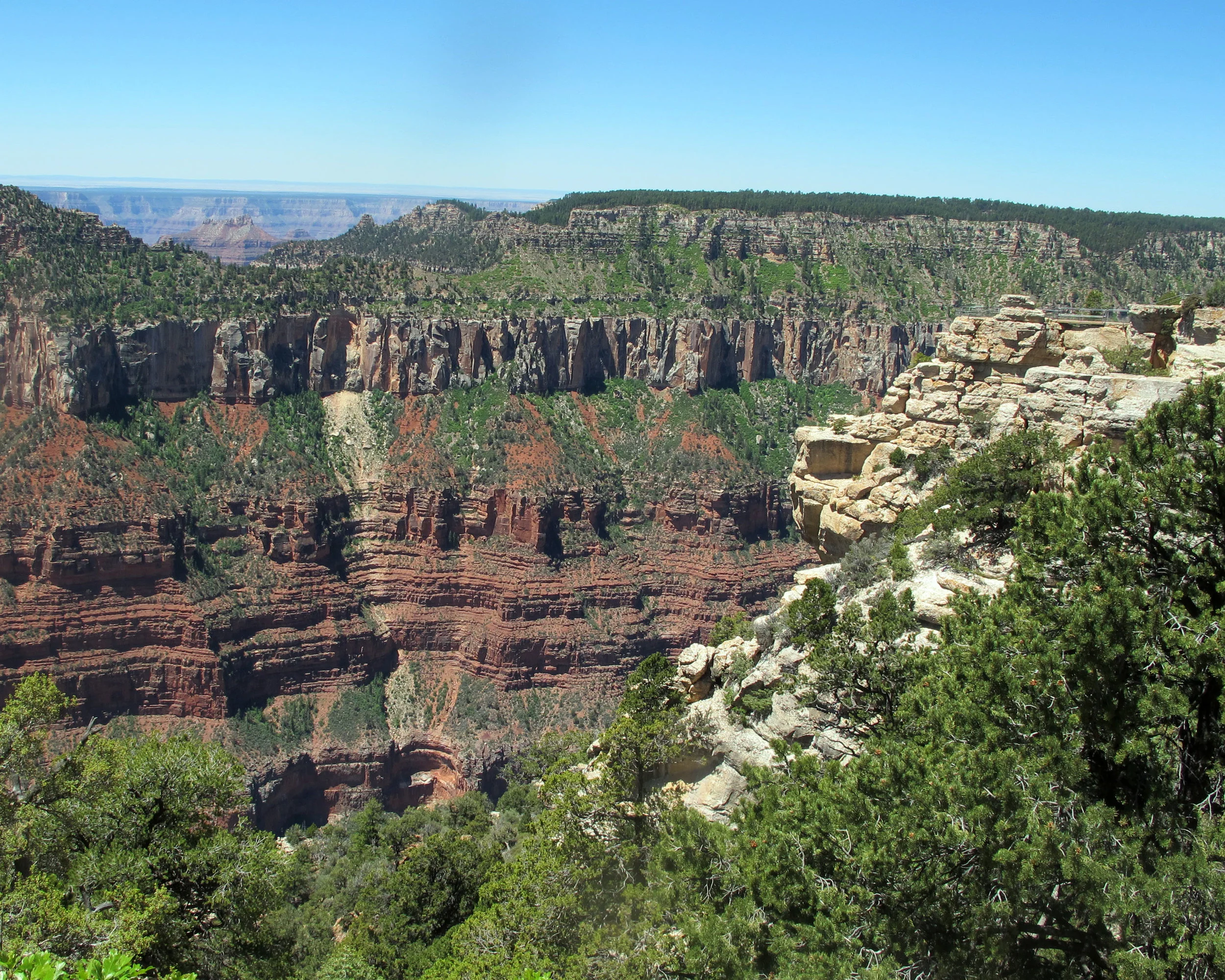 IMG_5438.jpg
