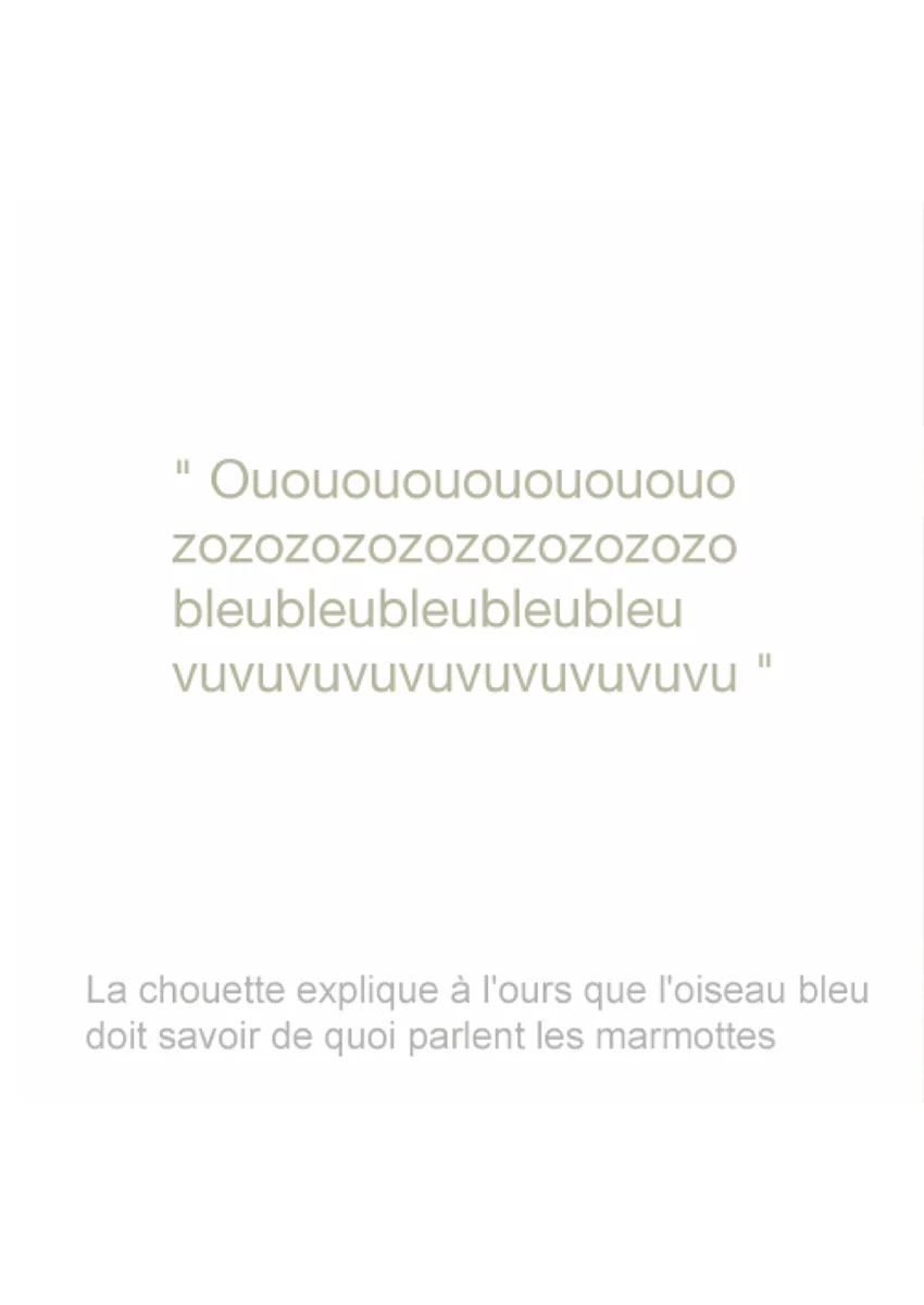 concerto pour deux marmottes2_72dpi.jpg