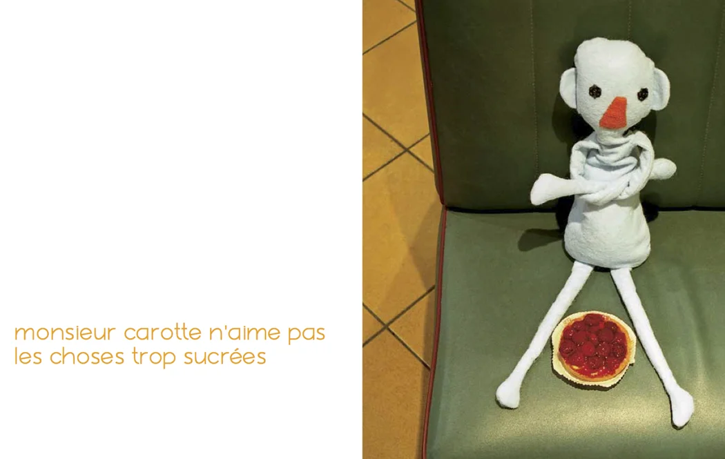 Monsieur+Carotte_E.Manceau_E.Ortiou+Campion+.jpg