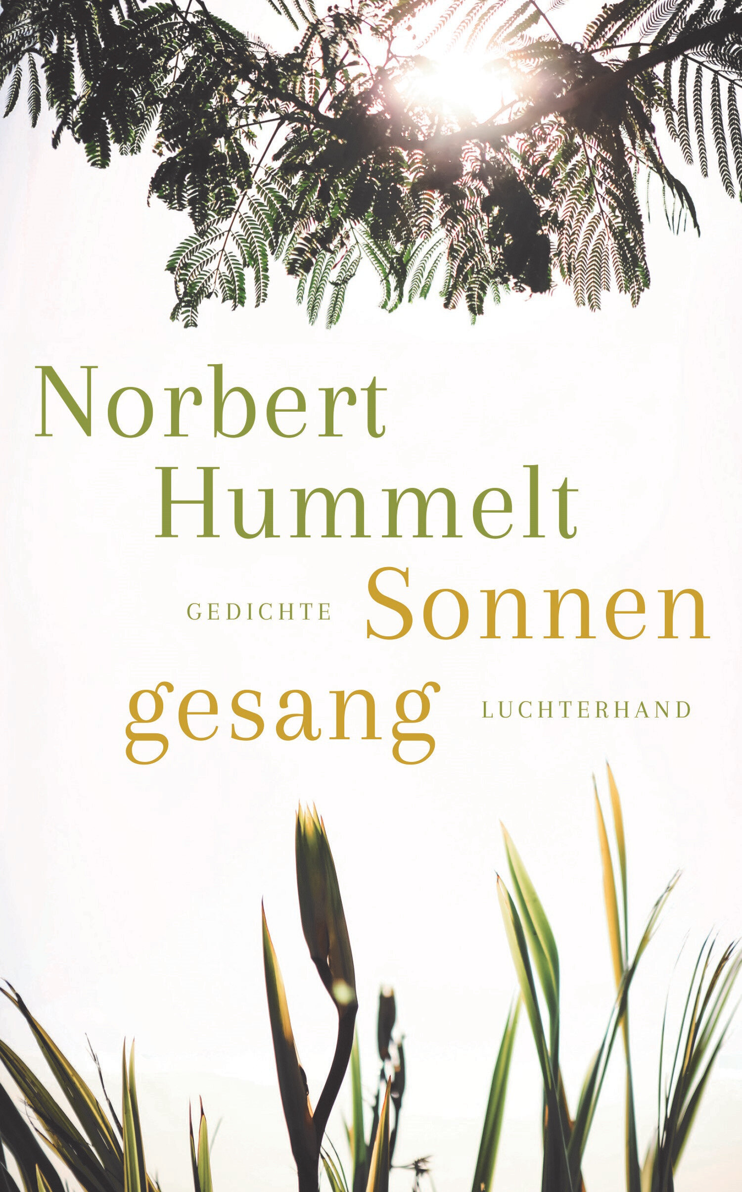 Norbert Hummelt - Sonnengesang - Luchterhand Edition