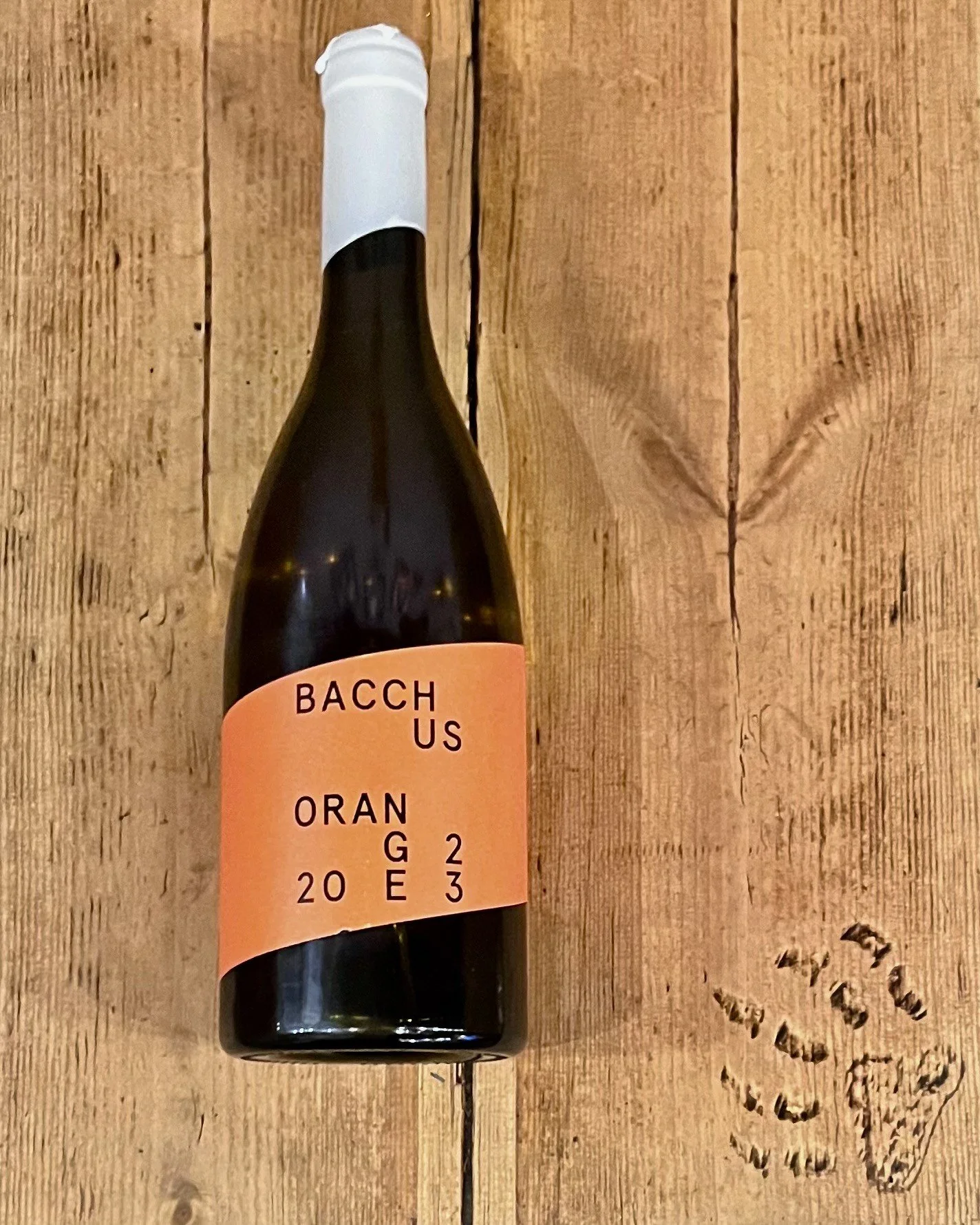 Wharie Bacchus Orange.jpg