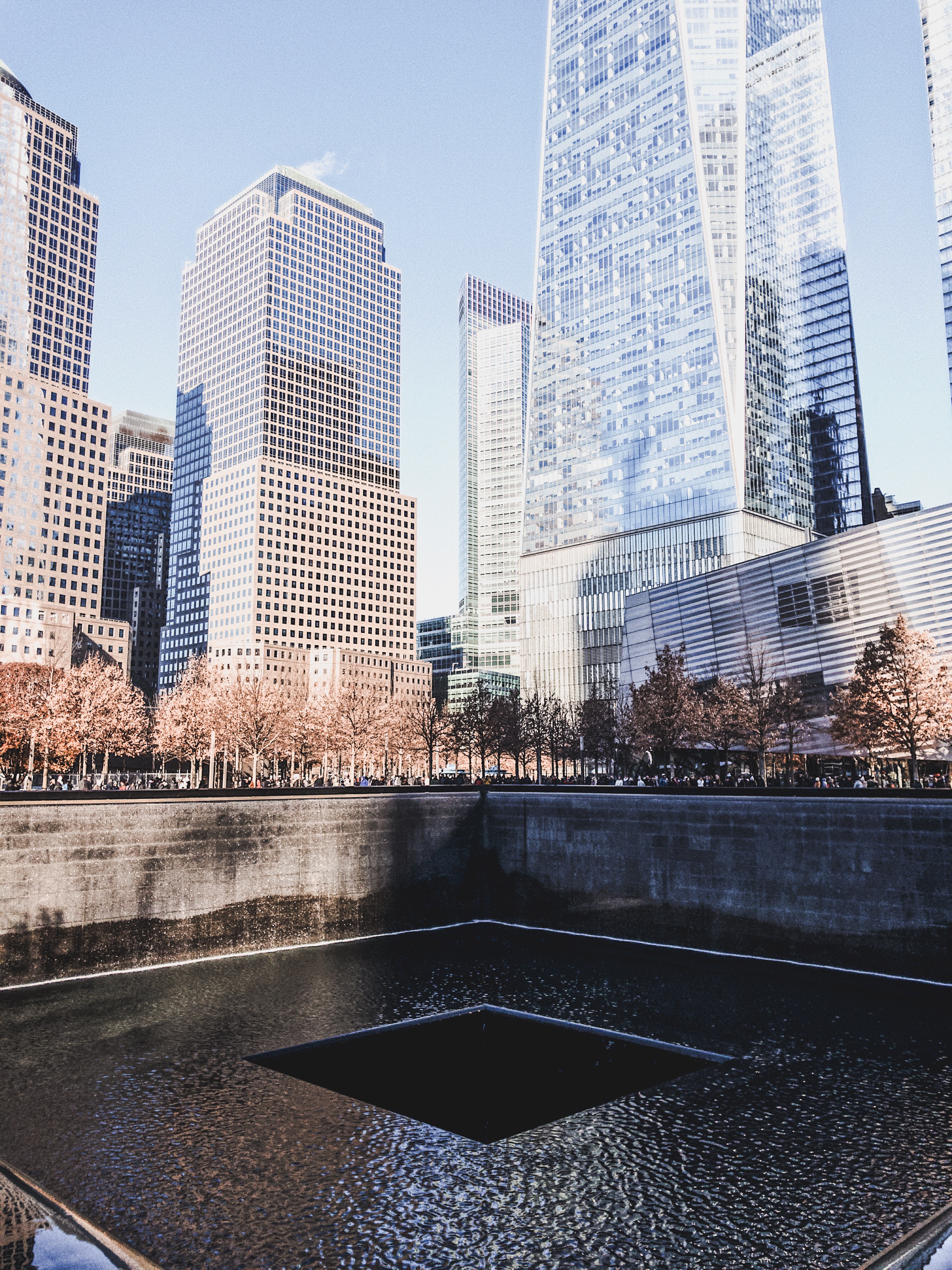 C2A63C73-41F3-4928-91F9-4BFD8191853F.jpeg