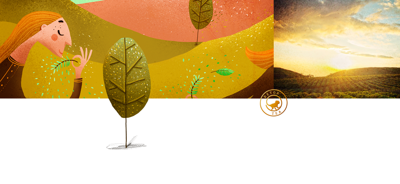 TITEA-Behance_12.png