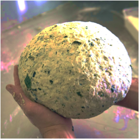 nettle focaccia.png