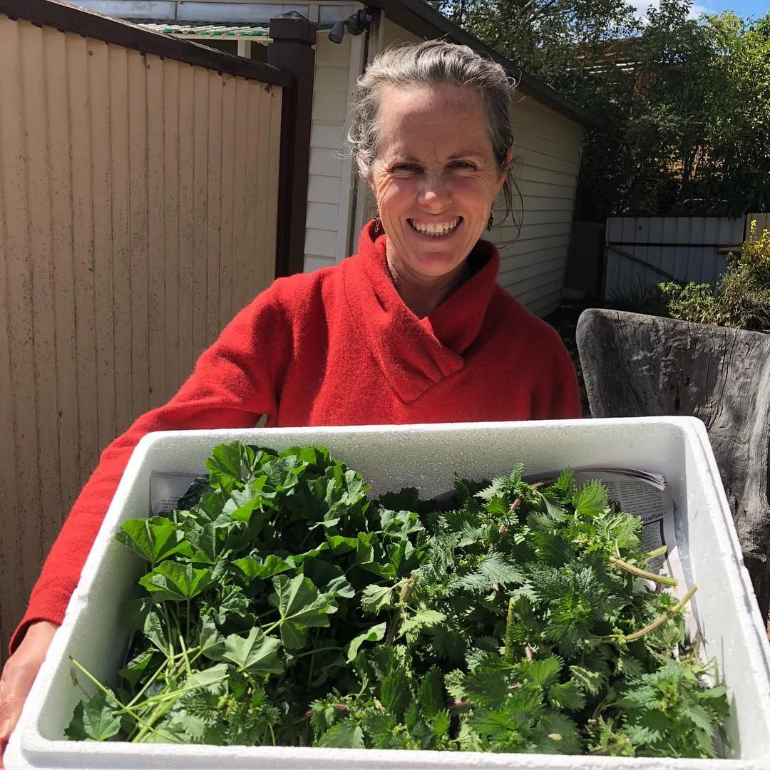 The good stories: Deborah with a box of nettle and mallow. Deborah is one of the excellent humans that form the Mid West Harvesting Hub, in Kandos/Mudgee area. Here I am setting up one of the collection points for wild harvested produce that gets then delivered to Sydney’s fine dining kitchens with the @wildfoodstore project. Out here the land is receiving little rain and weeds are the first things to pop up, so we harvest desirable produce and market it to the chefs of the city. The Chefs get top level, wild foraged produce and the people on the land get some cash for their effort. Right now diversification and promoting resilience via creating a market around by-products of farming (weeds) is quite important. The drought is real, and it does not look like is easing much. Deborah harvested this as samples for the chefs from her 400 acres. There is more. Check and follow @wildfoodstore if you want to be kept informed or if you’d like to buy some.