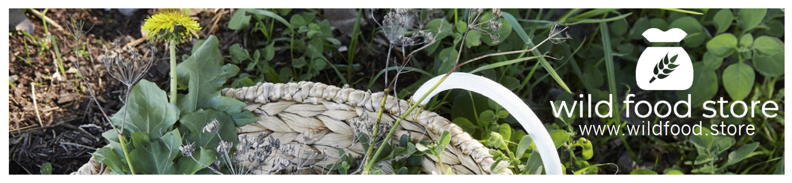 banner-wfs.png