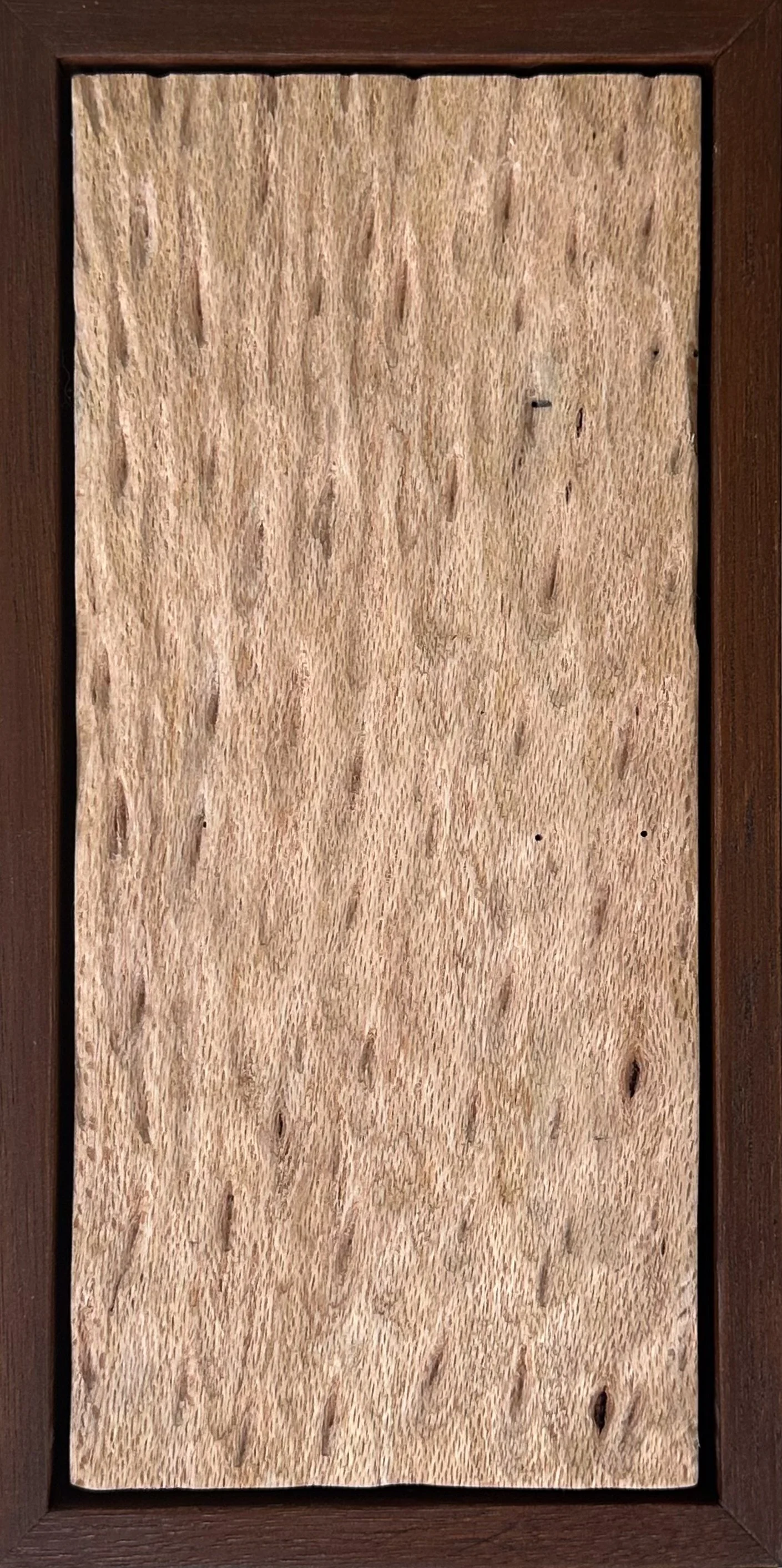 Texture Study III