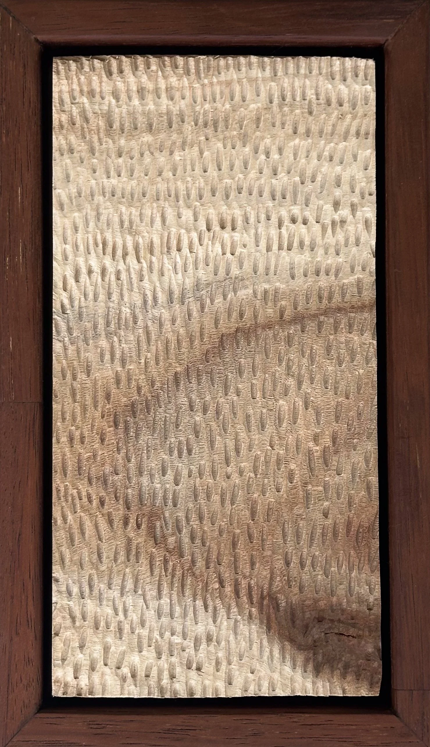Texture Study II