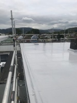 Seddon flat roof recoating 1.jpeg