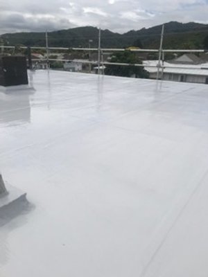 Seddon flat roof recoating 3.jpeg