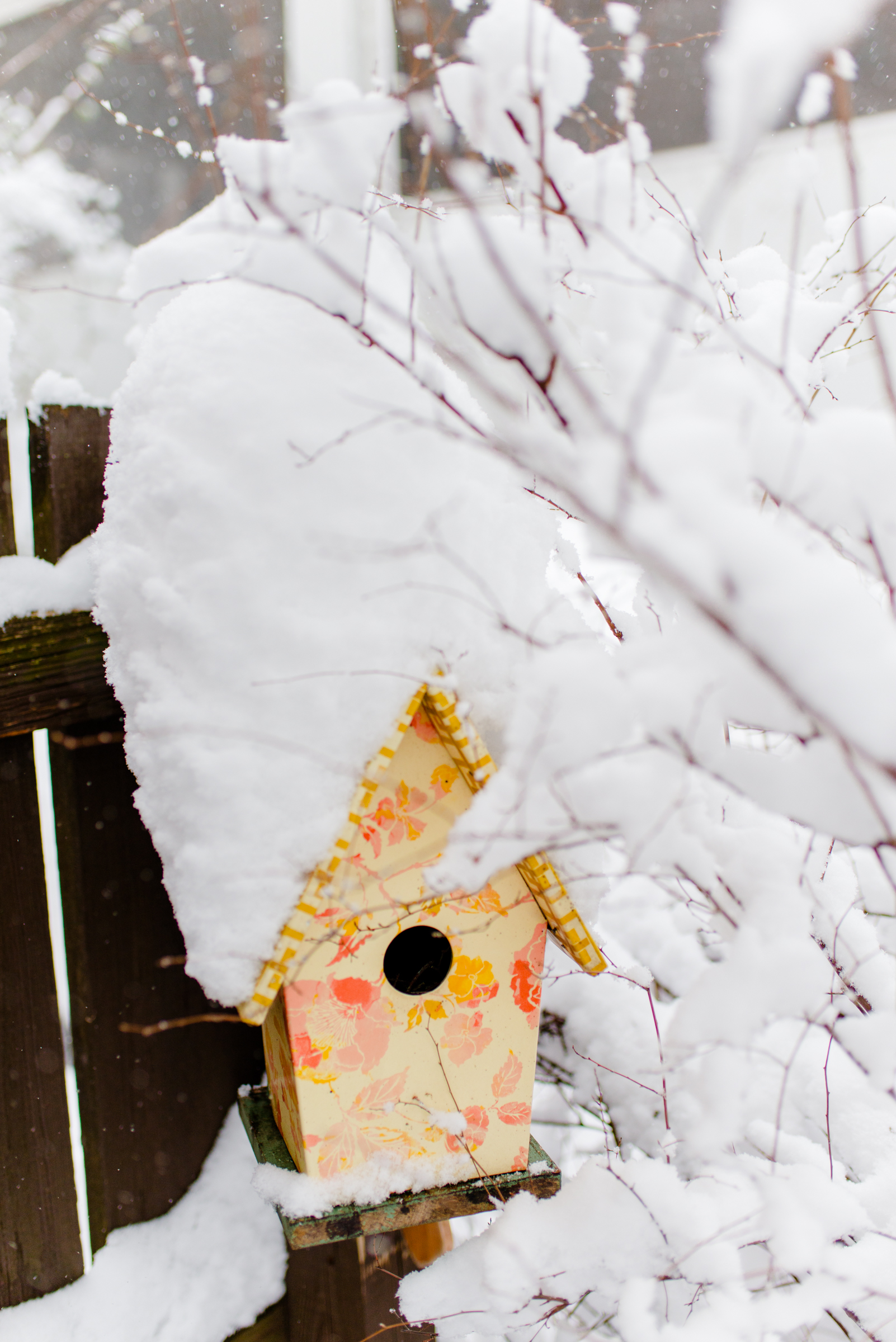 Kirsten-Smith-Photography-Snow-Day-16.jpg