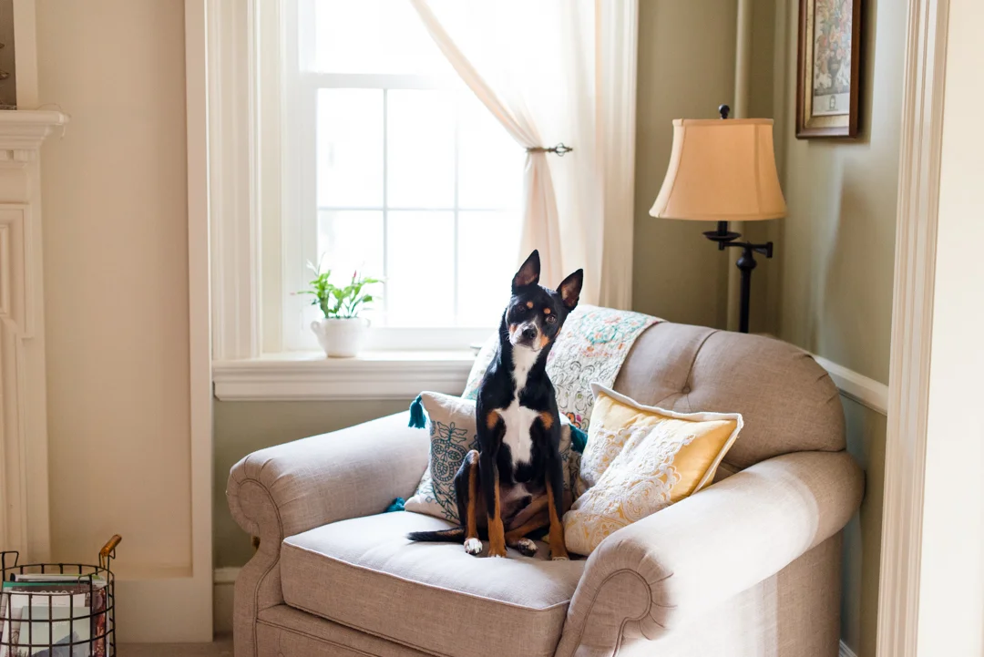 Kirsten-Smith-Photography-7-4.jpg