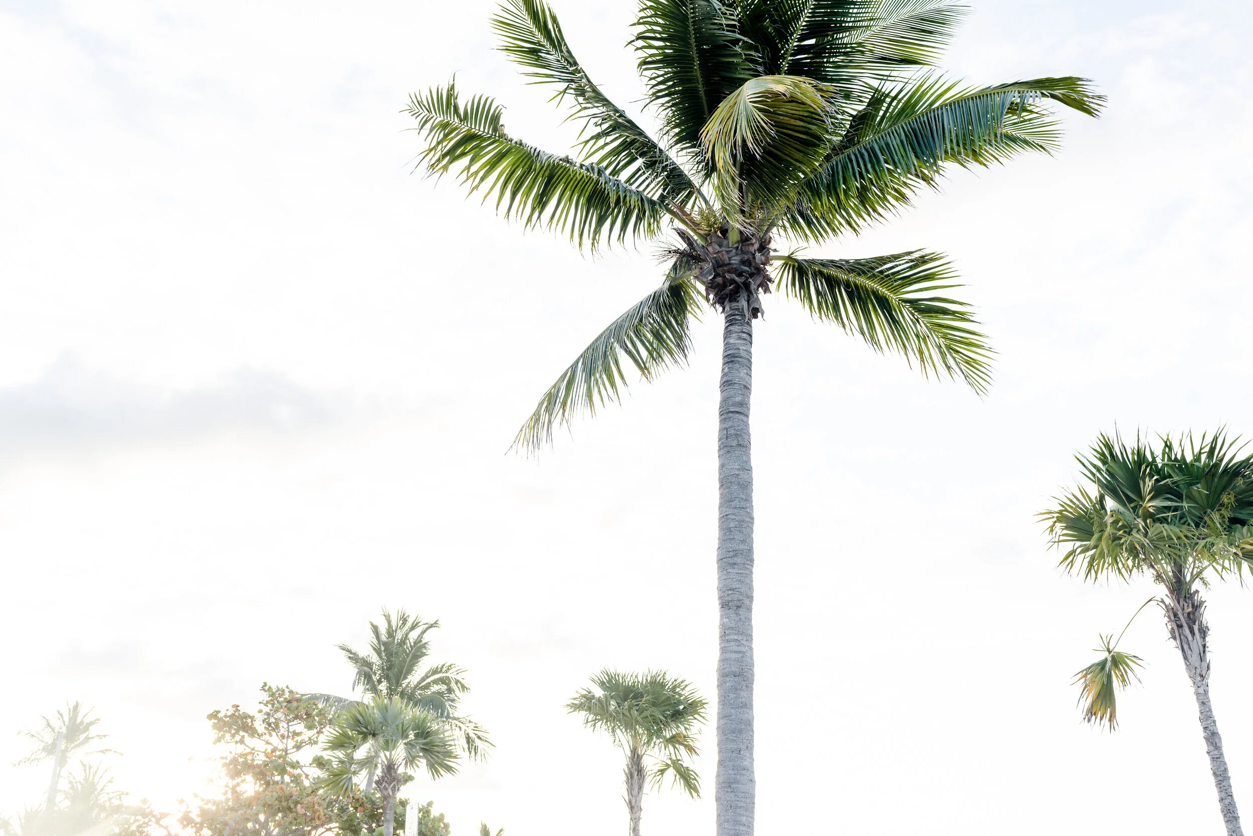 Key West Trip | Part 3: Long Key, Islamorada + Heading Home