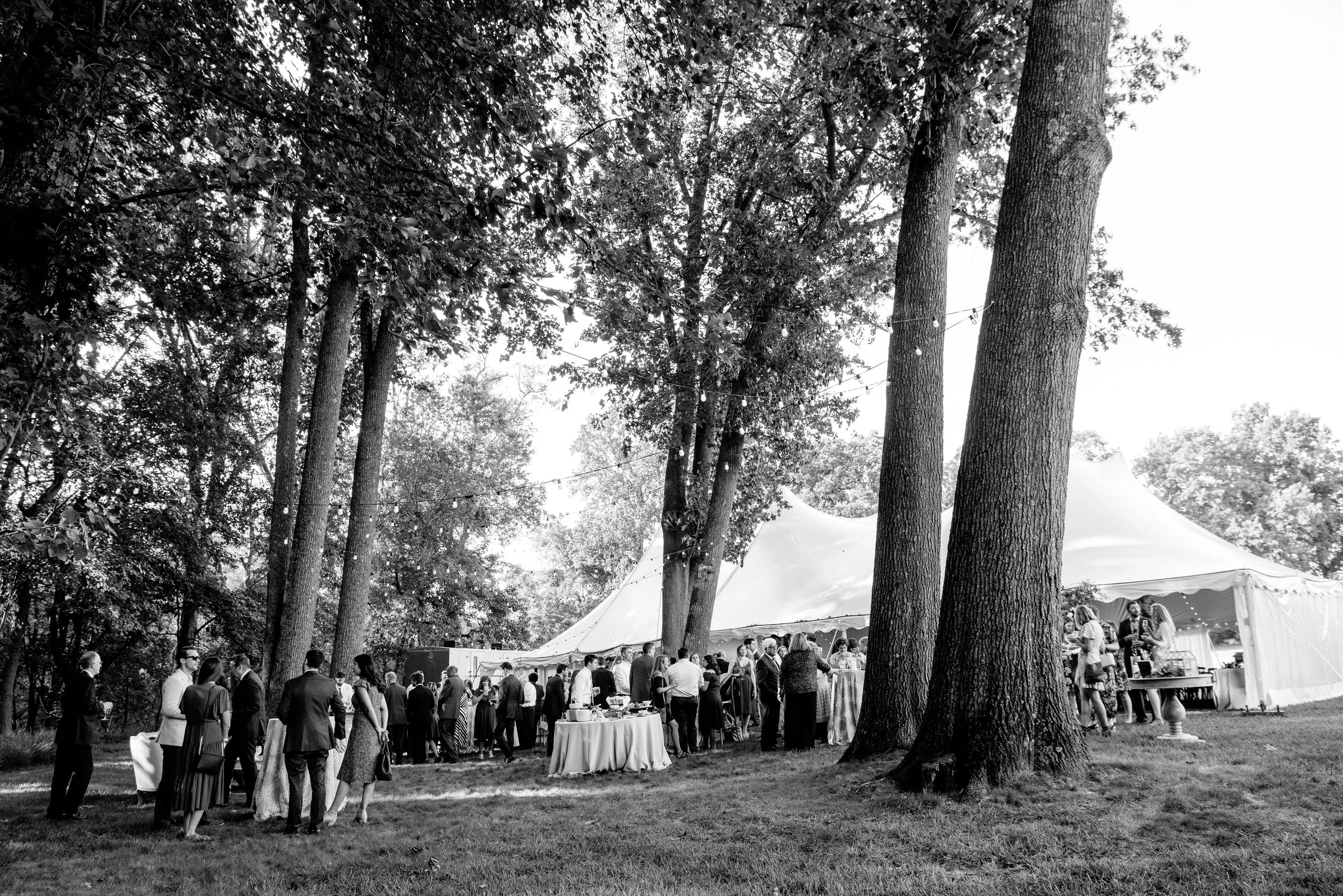 Emily + Pat's  Backyard Wedding