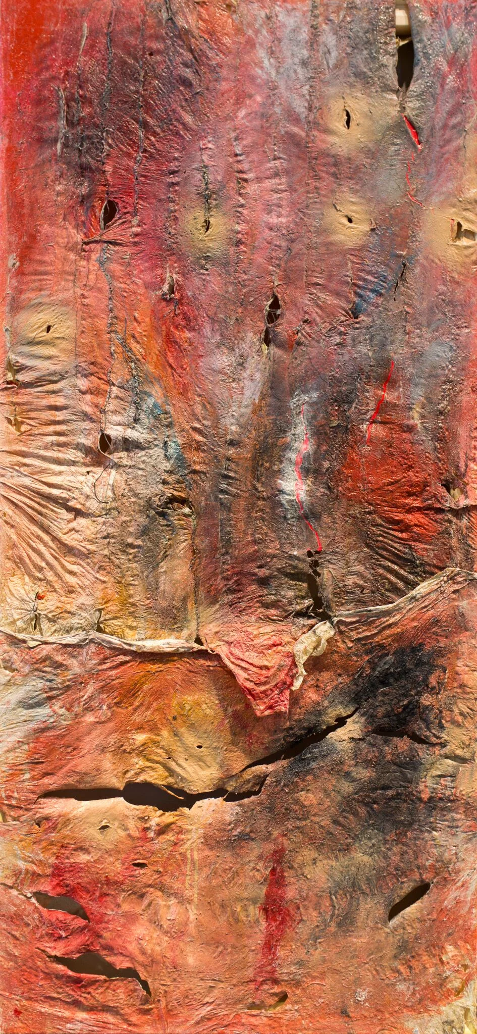 Till the Death (panel 2), 2017 Acrylic, ink and thread on bovine casing 70cm x 150cm