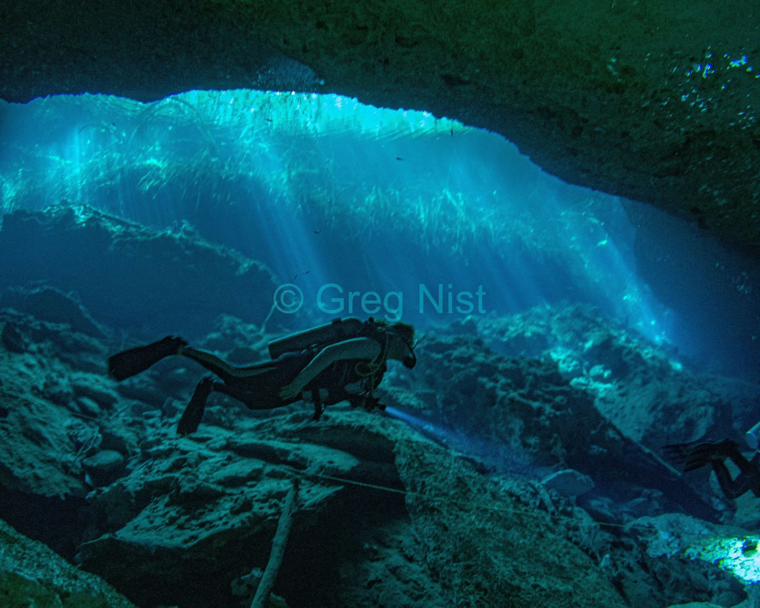 cenotes-web-5.jpg