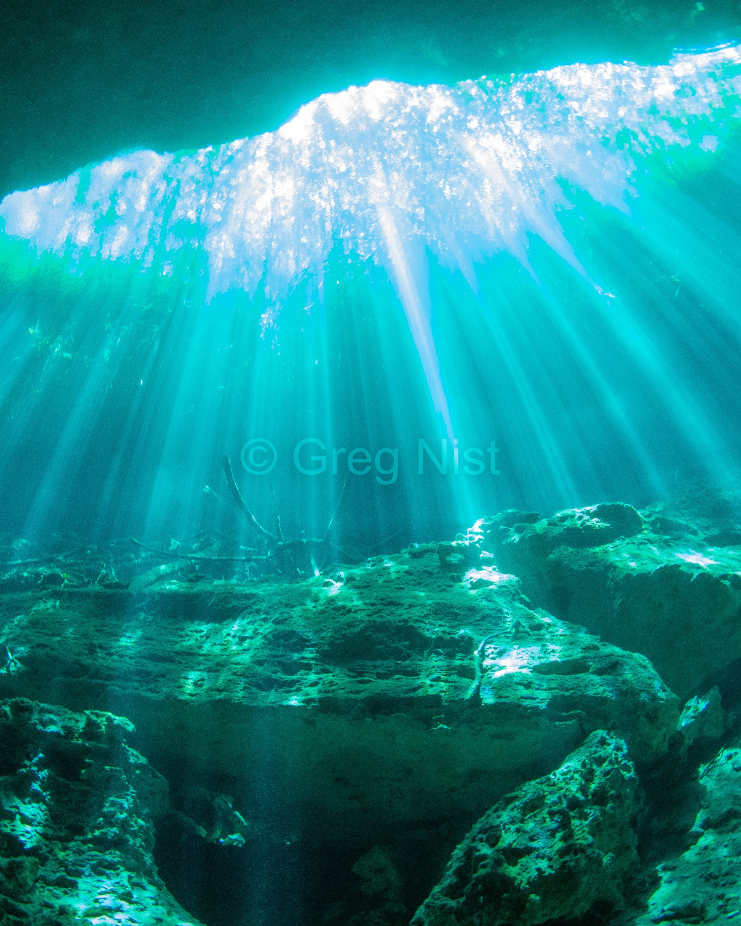 cenotes-web-6.jpg