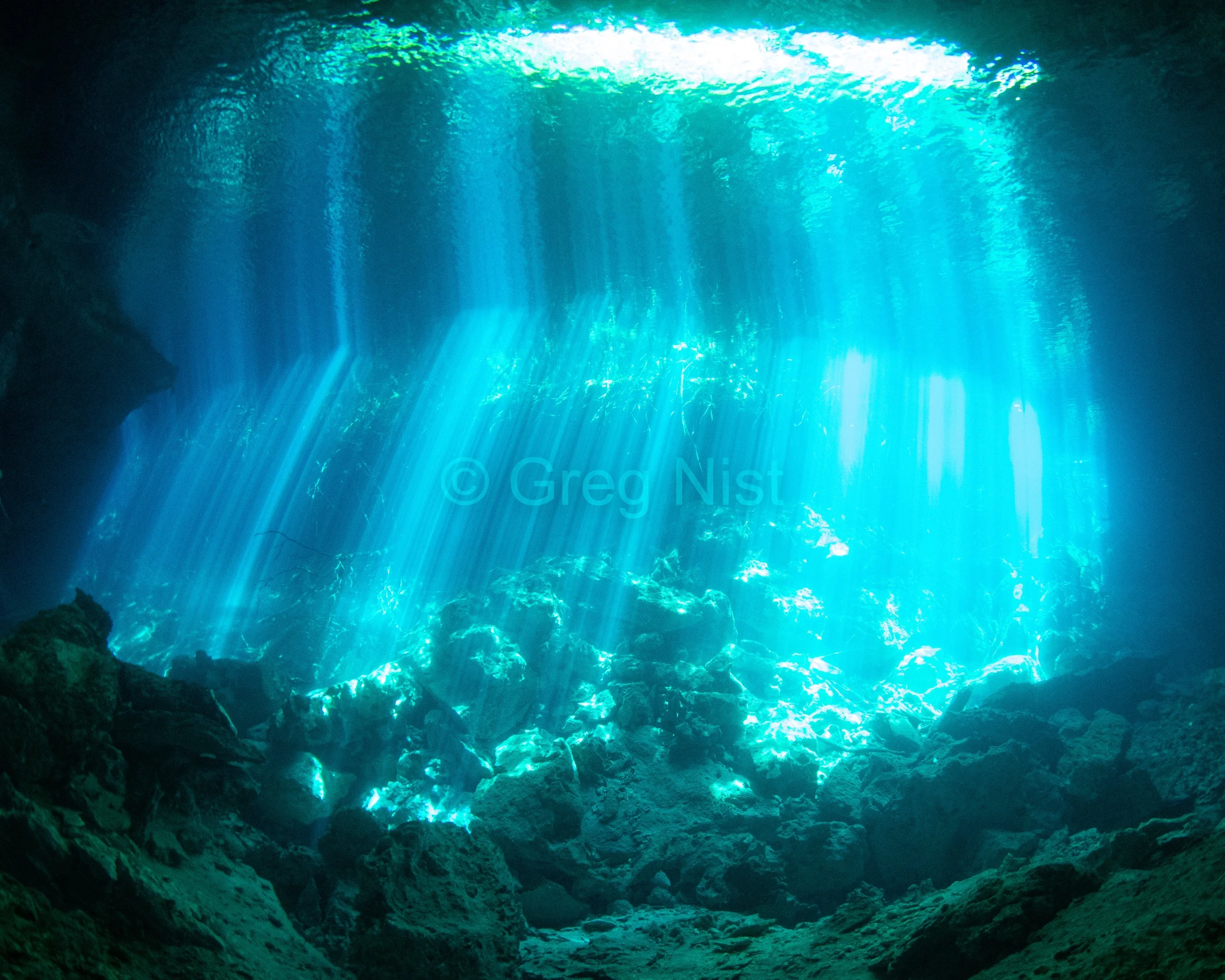 cenotes-web-7.jpg