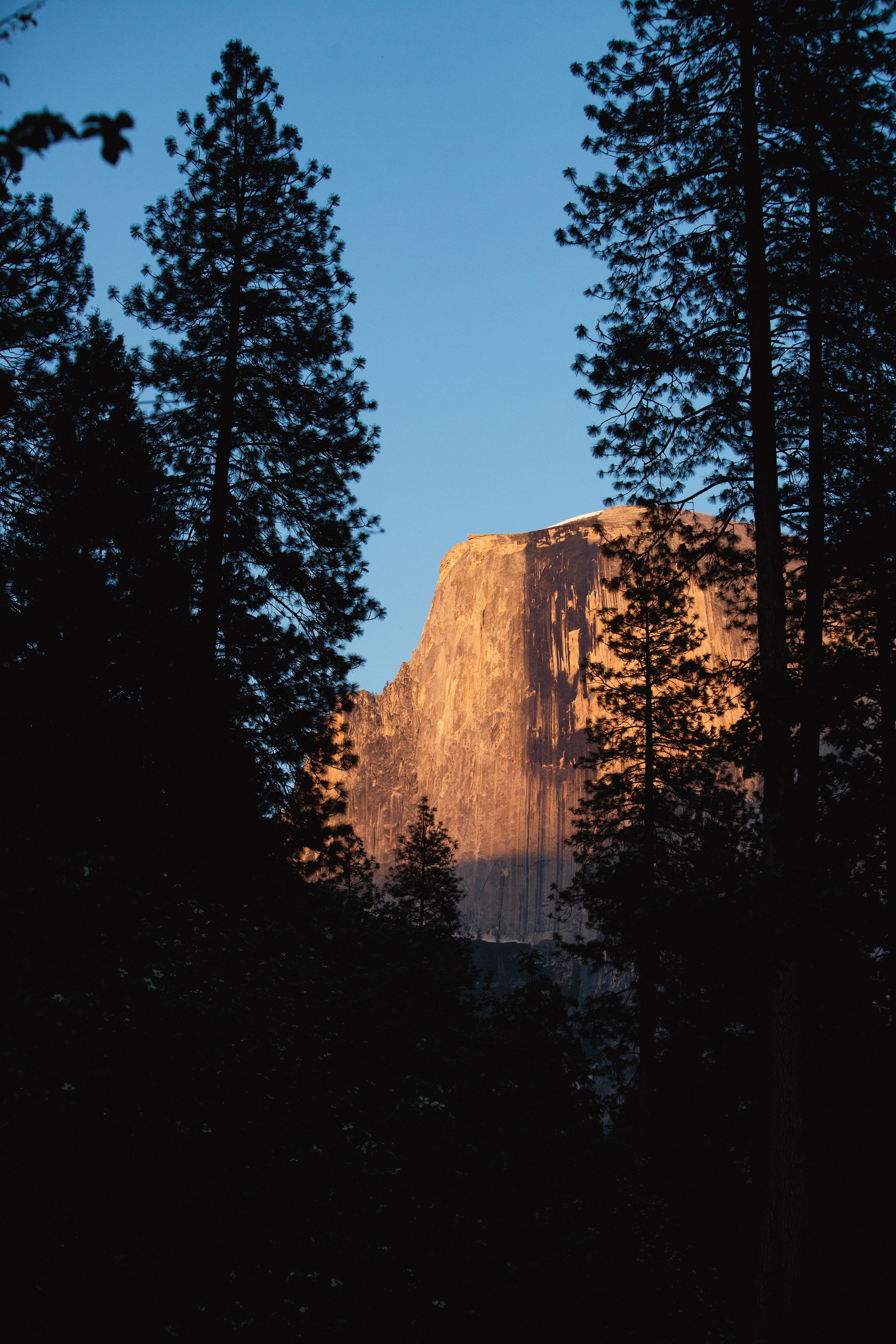 2023-Yosemite-Centenial-0479.jpg