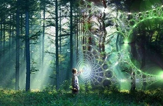 Trees and web of light300.jpg