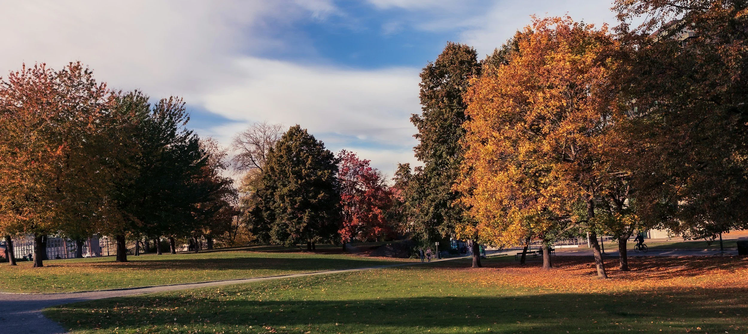 unsplash-image-OrXbi6DHJ78.jpg