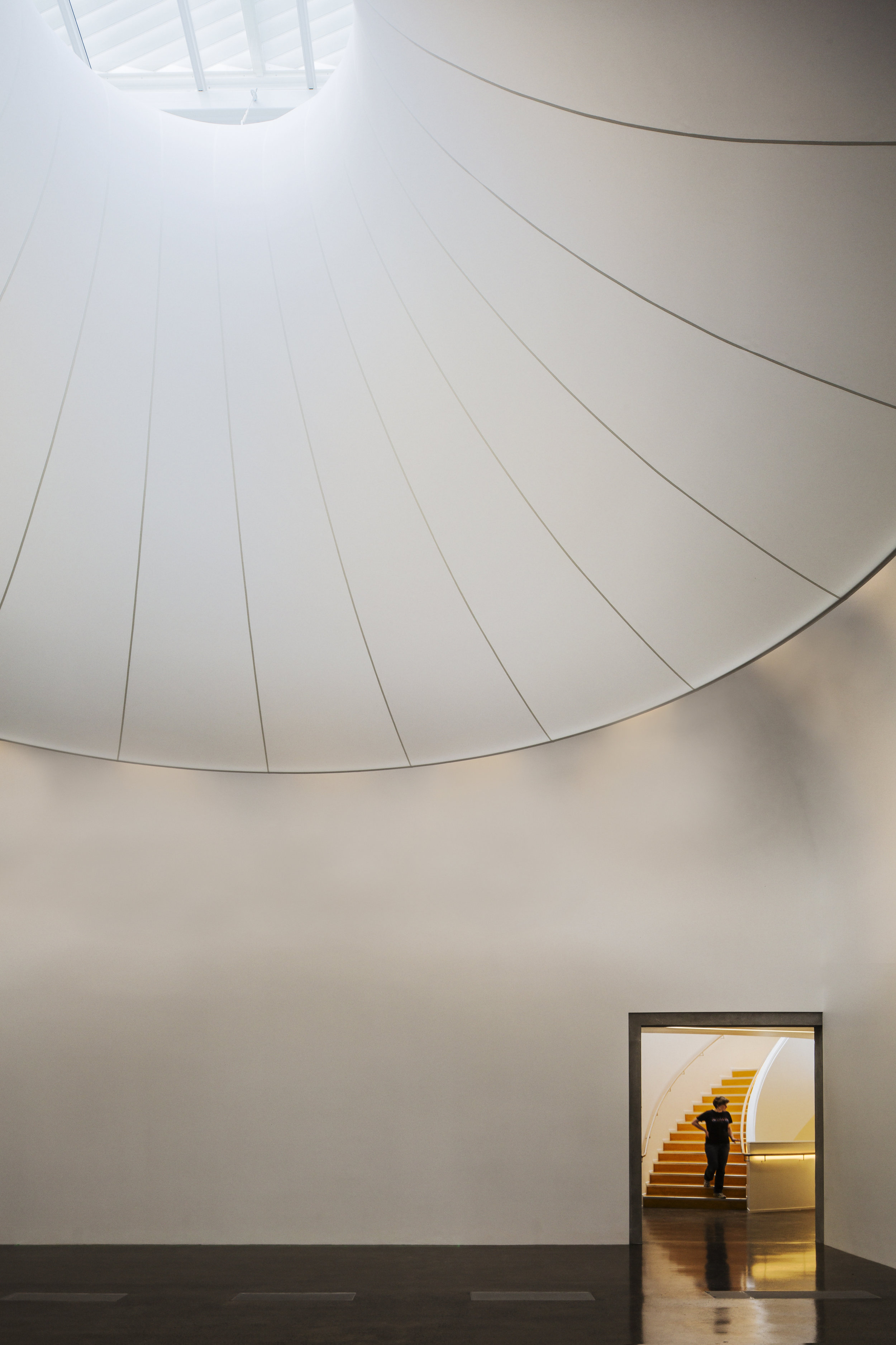 Patrick Reynolds_Gallery 2.jpg