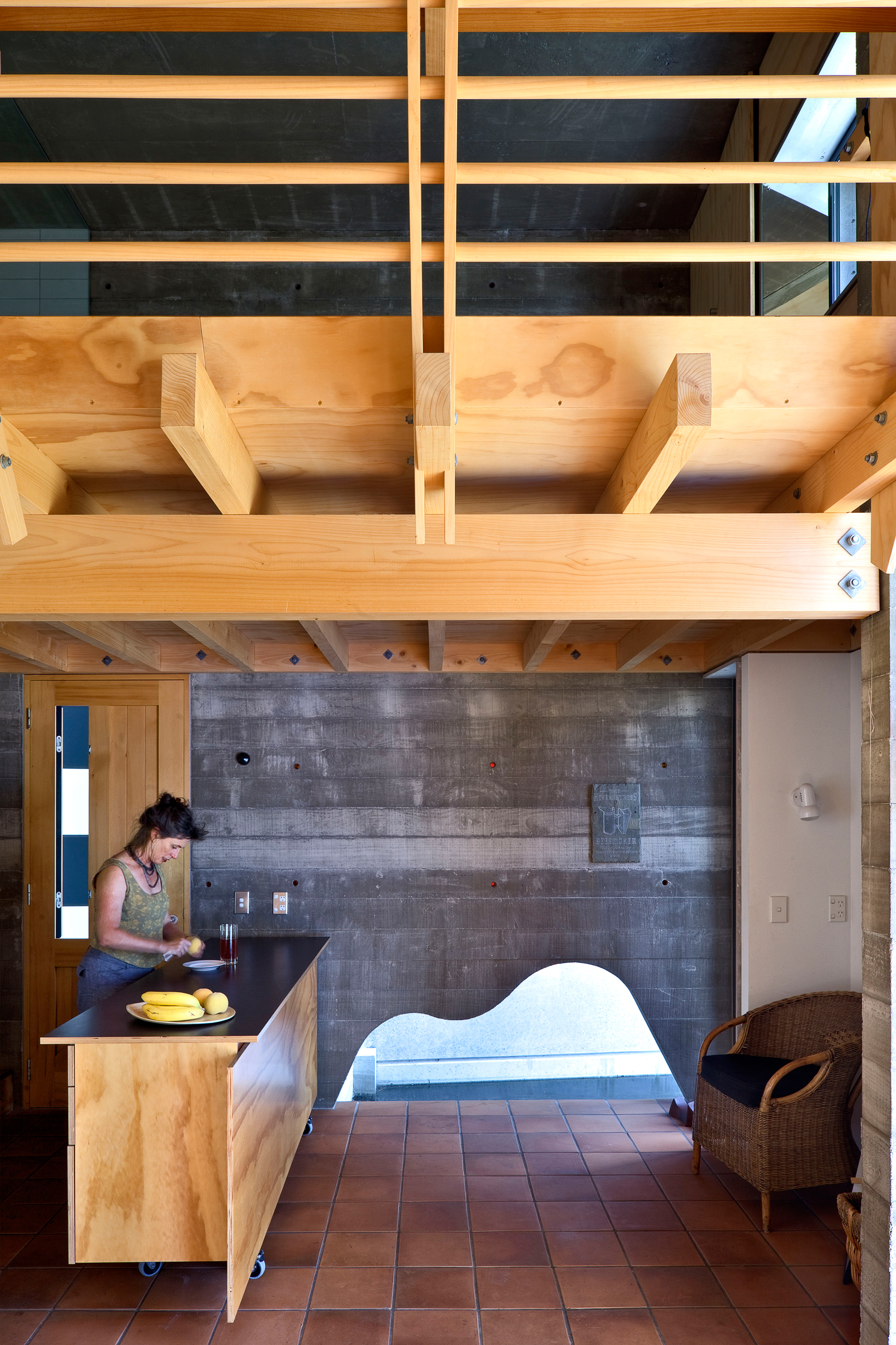 Narrow Neck House Mitchell & Stout Architects 12.jpg