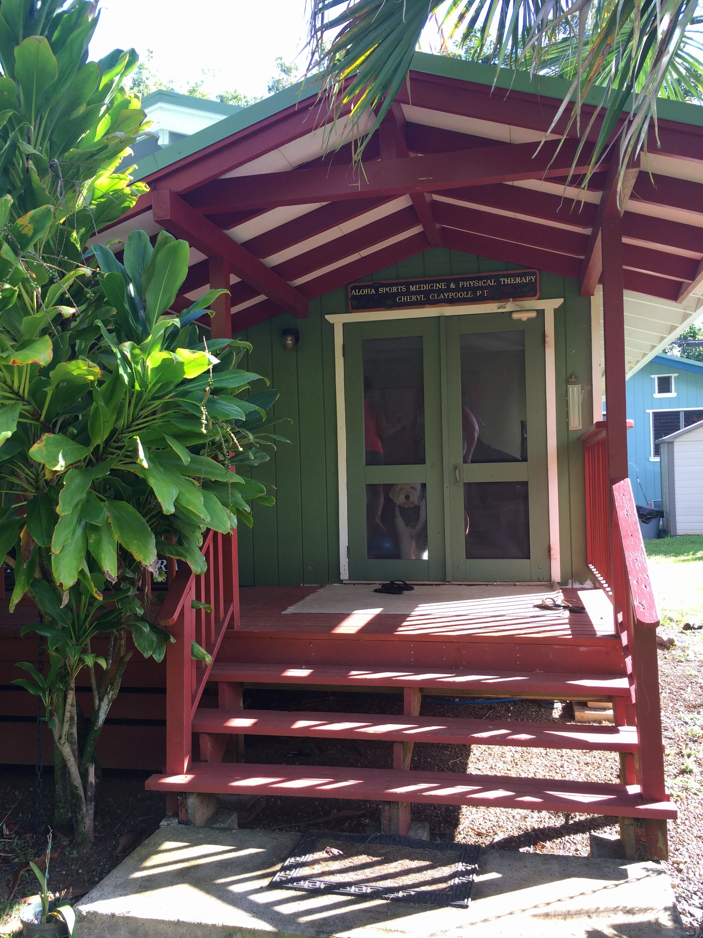 About Us — Aloha Sports Medicine & Physical Therapy